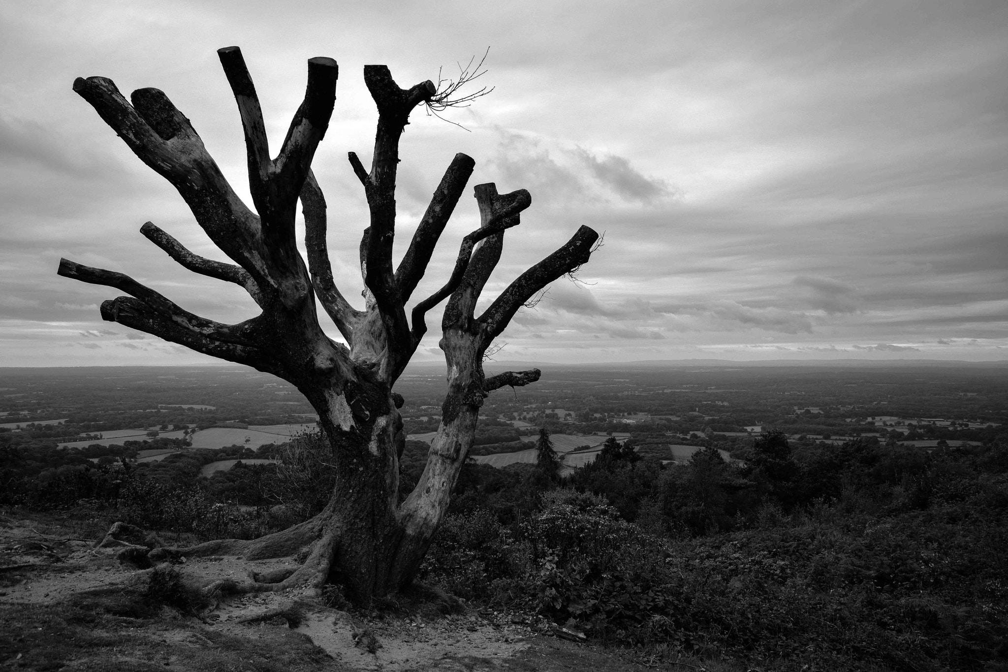 Nikon D5500 sample photo. Leith hill photography