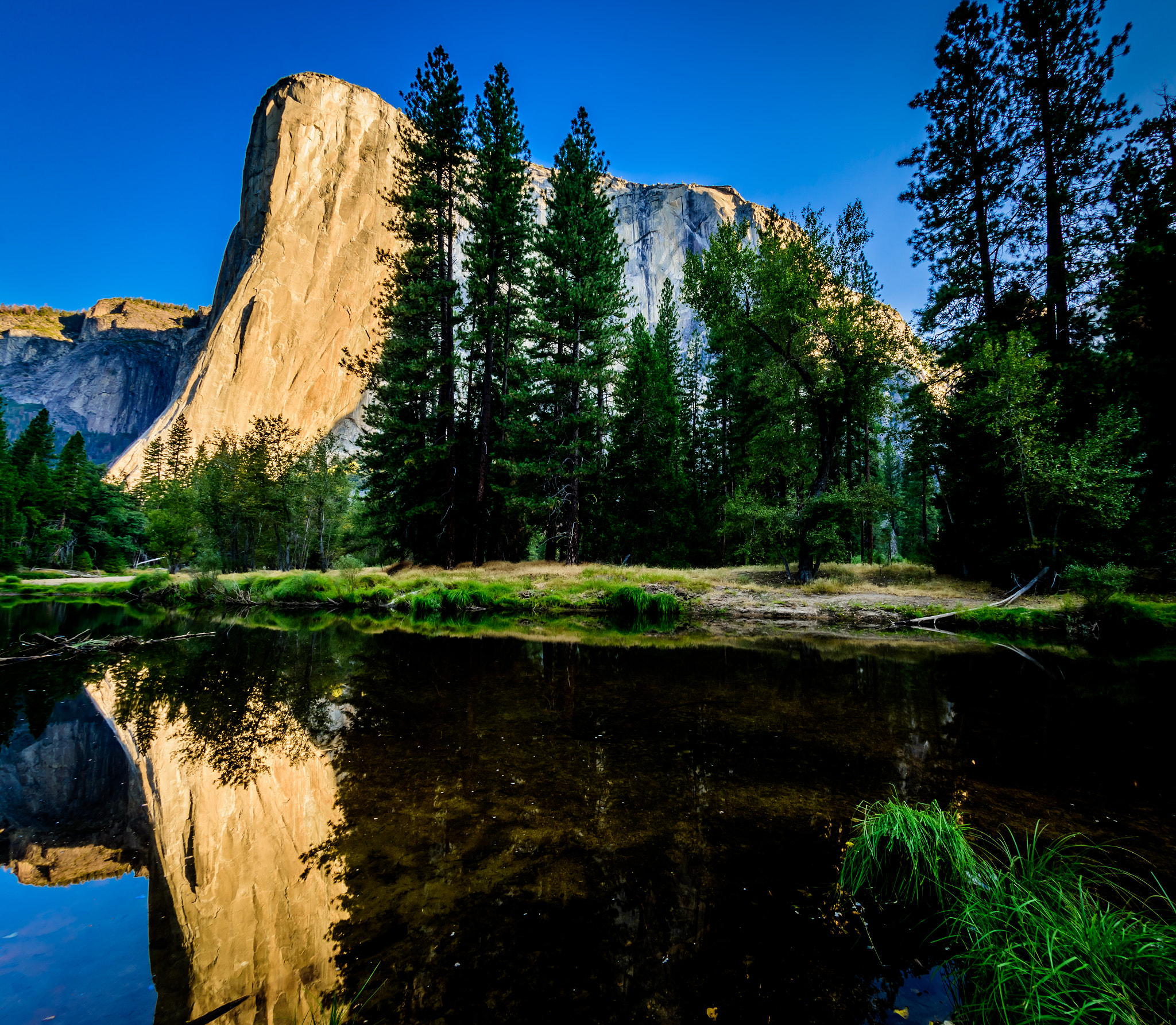 Nikon D810 + Nikon AF Fisheye-Nikkor 16mm F2.8D sample photo. El capitan golden hour photography