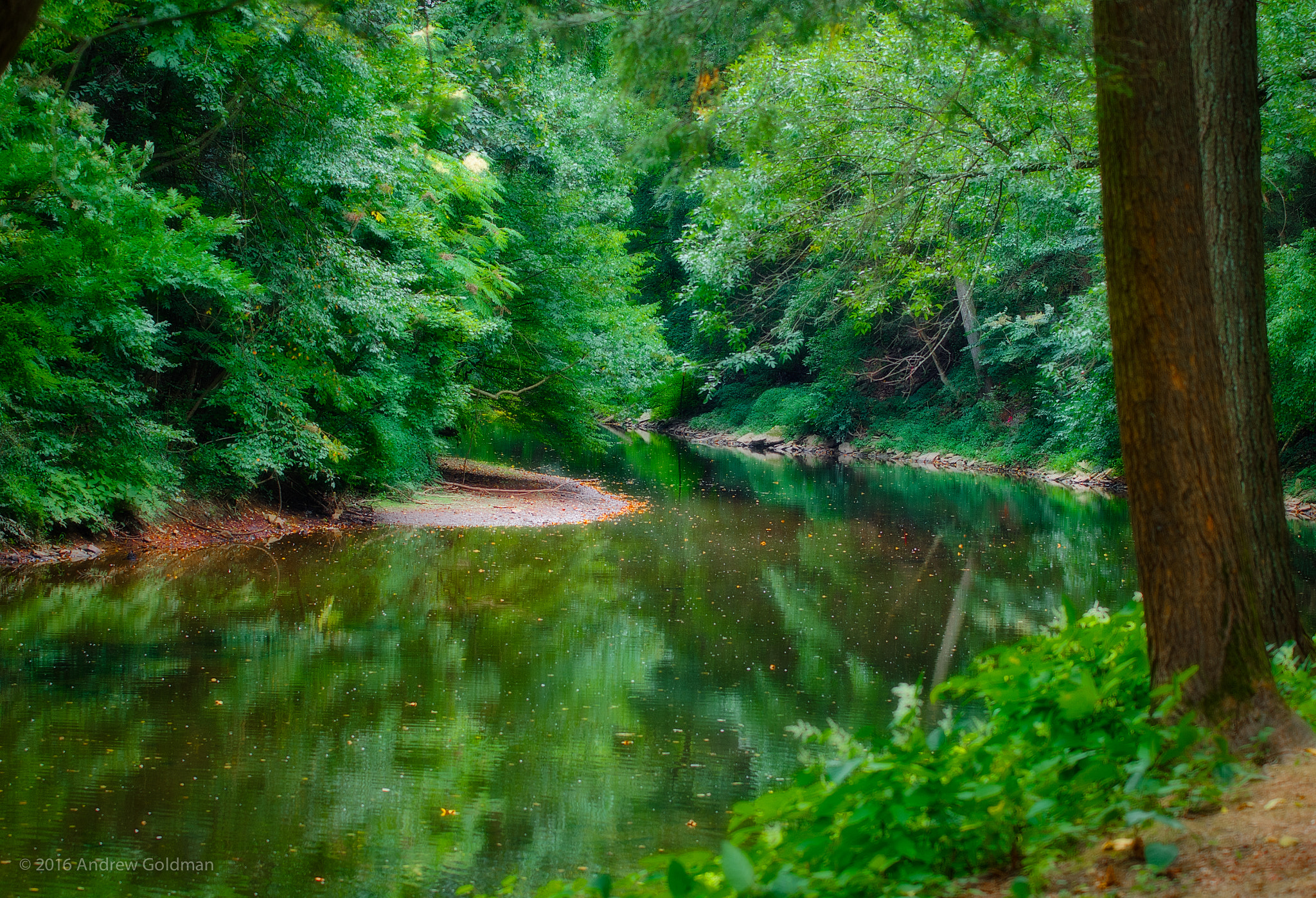 Nikon AF-S Nikkor 70-200mm F4G ED VR sample photo. Wissahickon creek photography
