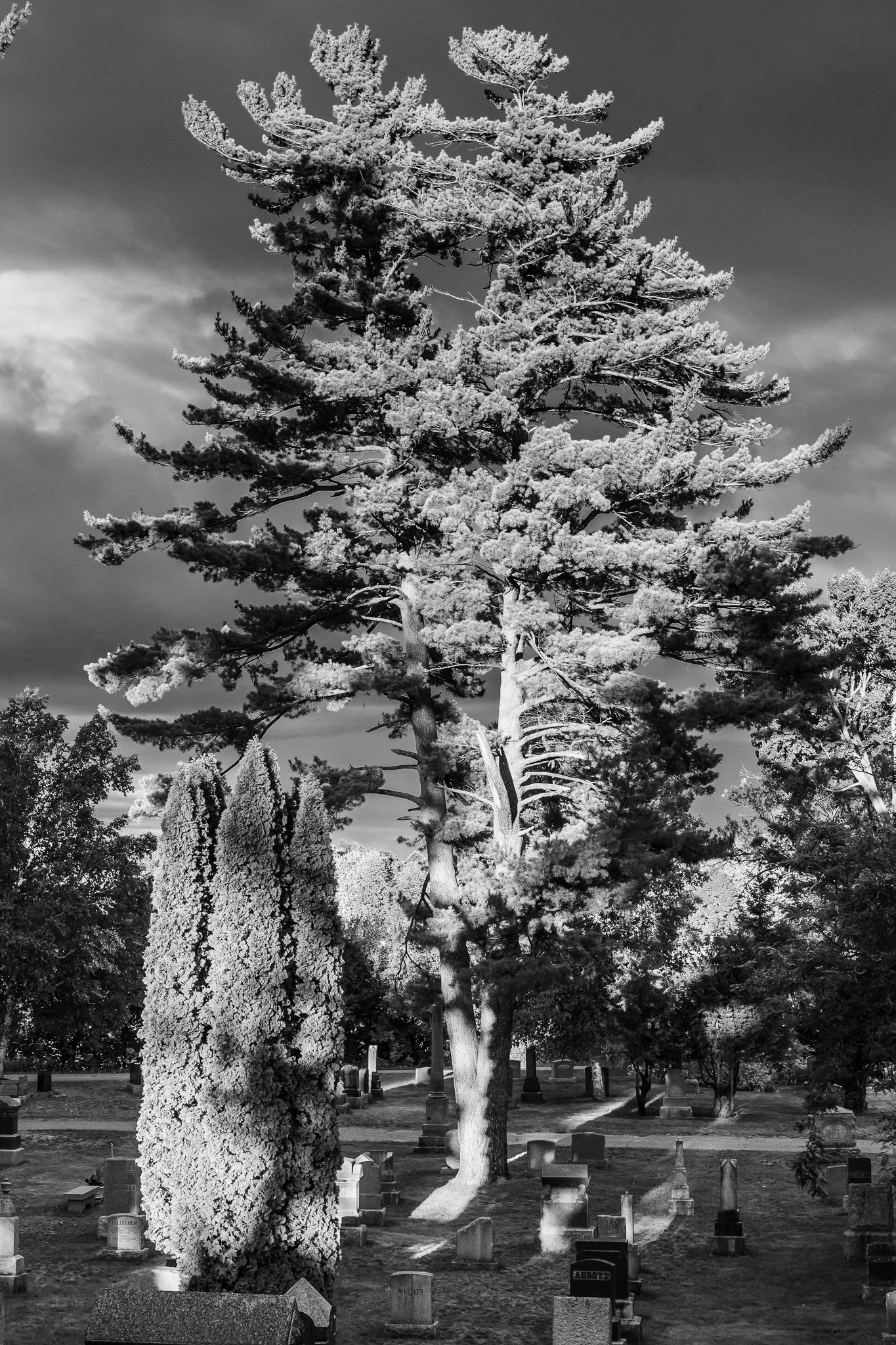 Canon EF 40mm F2.8 STM sample photo. Little lake cemetary photography