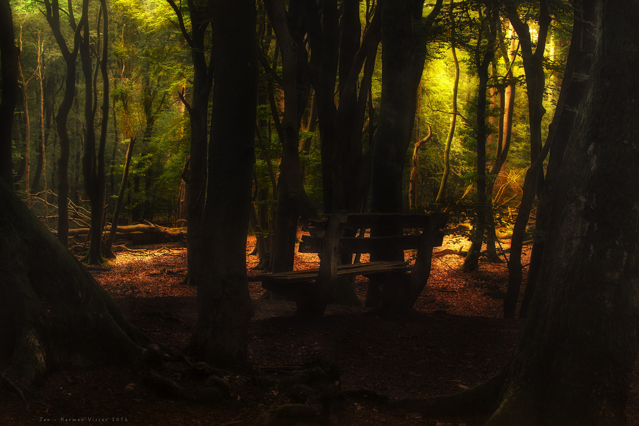 Canon EF 50-200mm f/3.5-4.5 sample photo. Sense of calm... photography