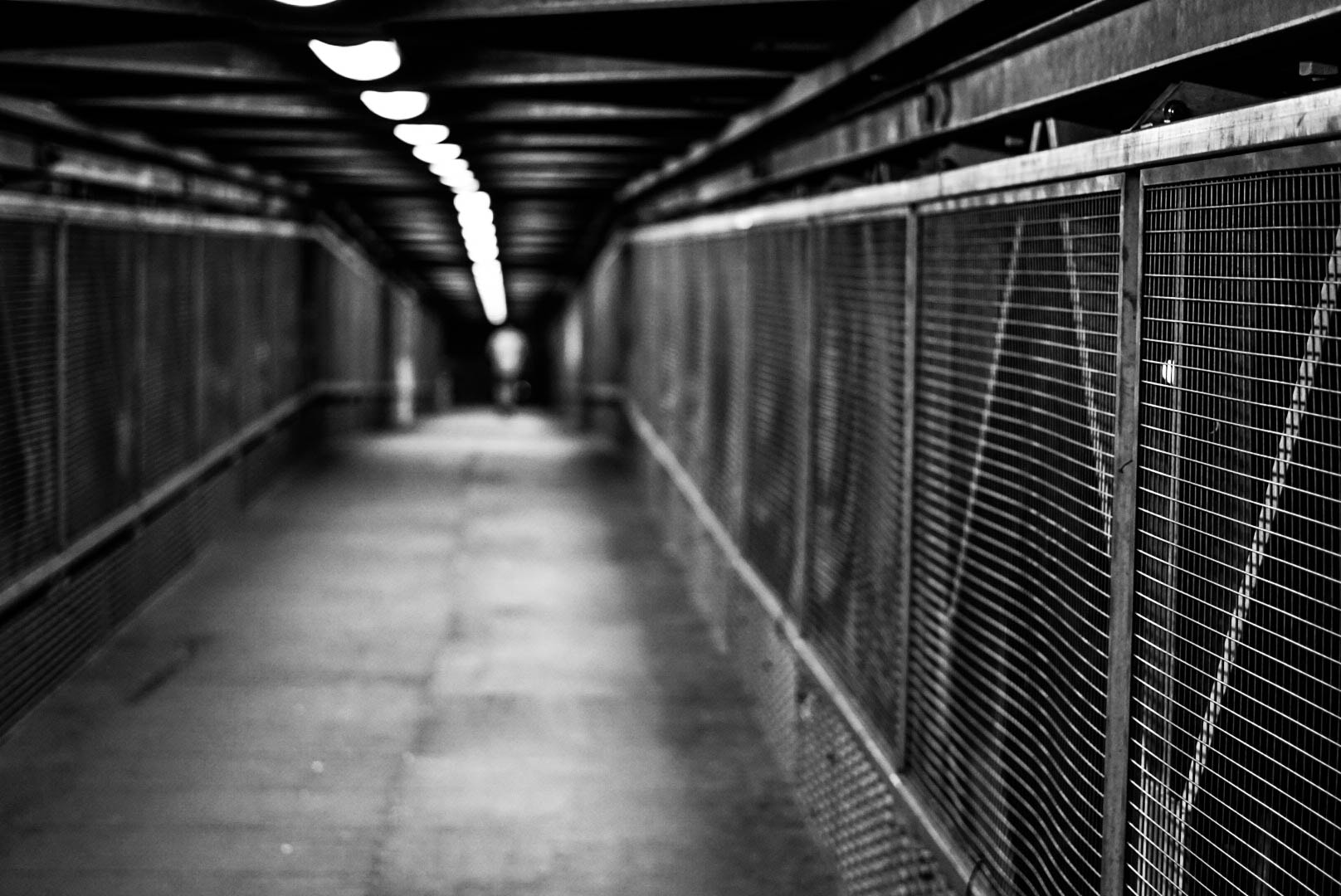 Sony a6300 + Sony FE 50mm F1.8 sample photo. Crosswalk photography