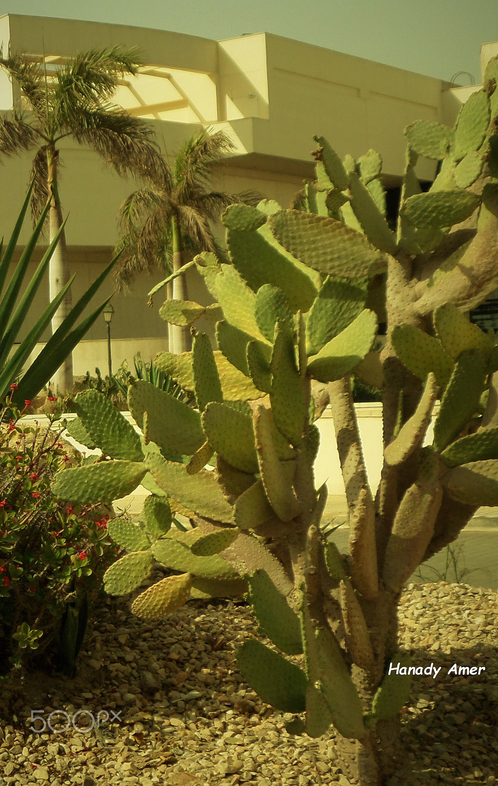 Samsung WB30F/WB31F/WB32F sample photo. Samsung camera pictures�������� photography