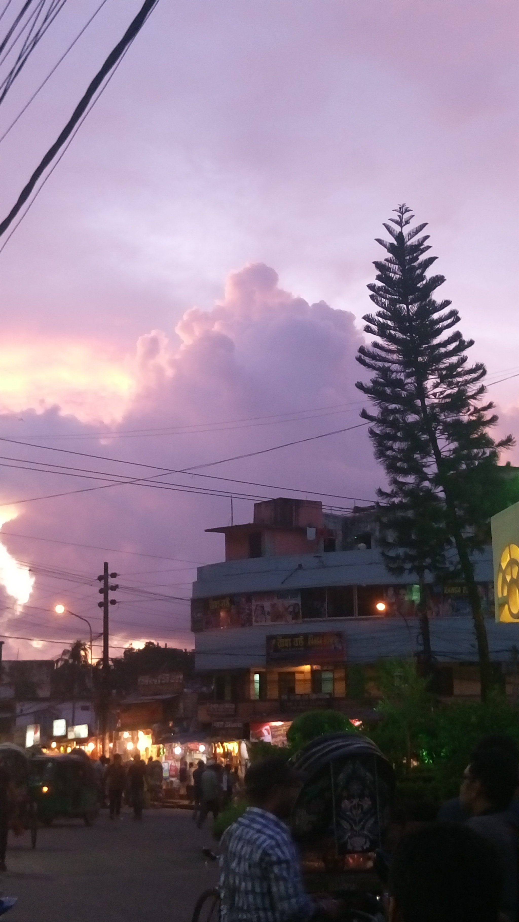 Sony Xperia M5 Dual sample photo