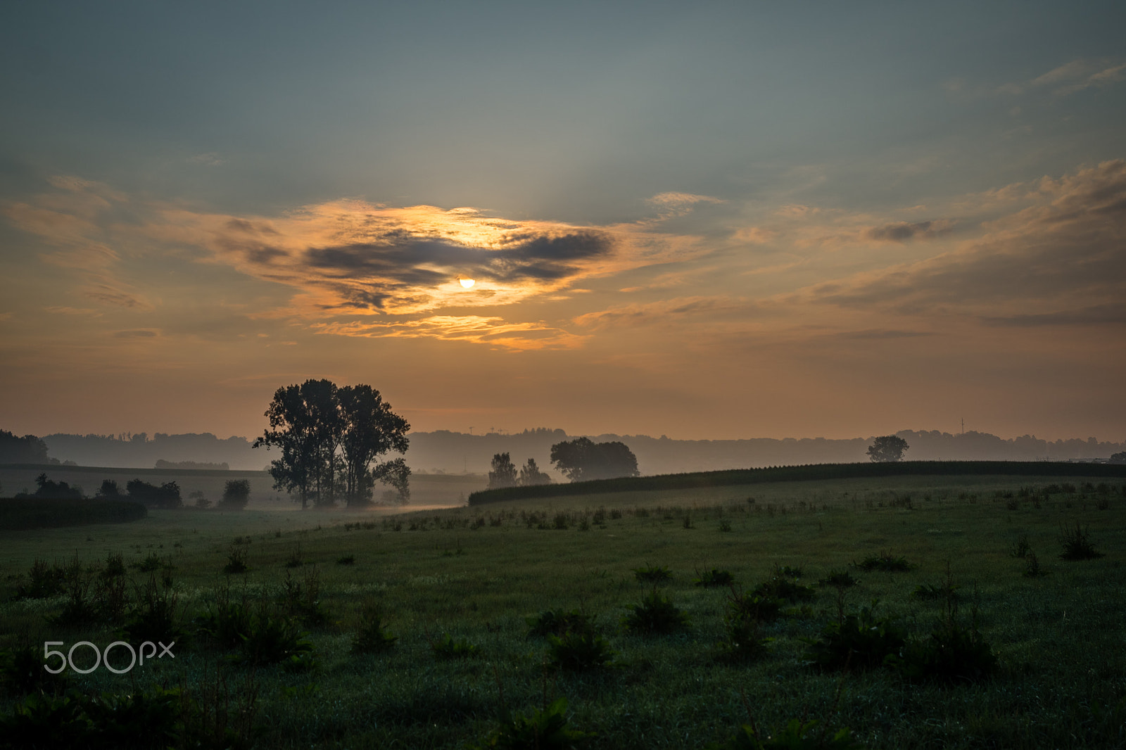 Sony SLT-A58 sample photo. Foggy morning after the sunrise photography
