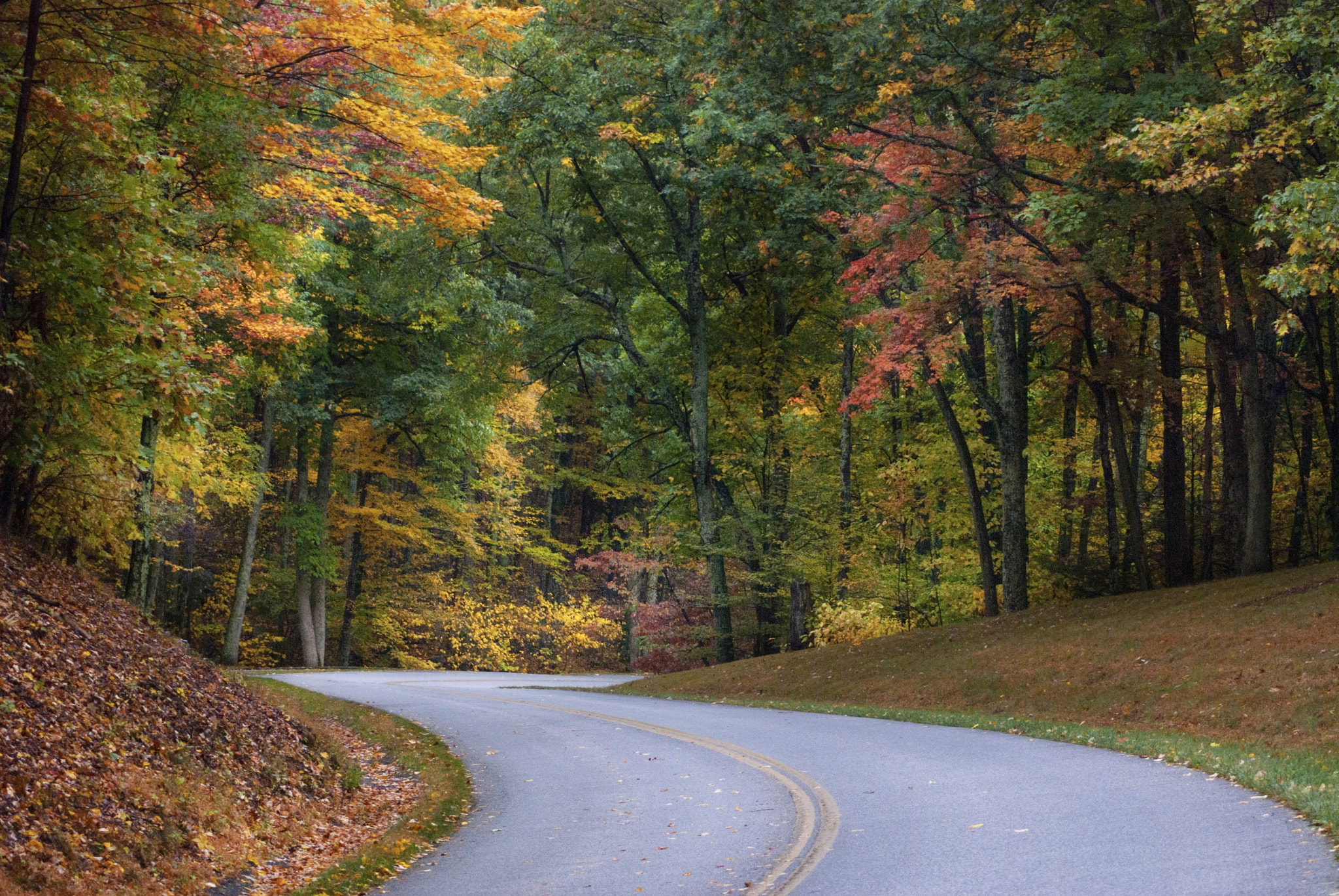 AF Zoom-Nikkor 75-300mm f/4.5-5.6 sample photo. Autumn color blue ridge parkway photography