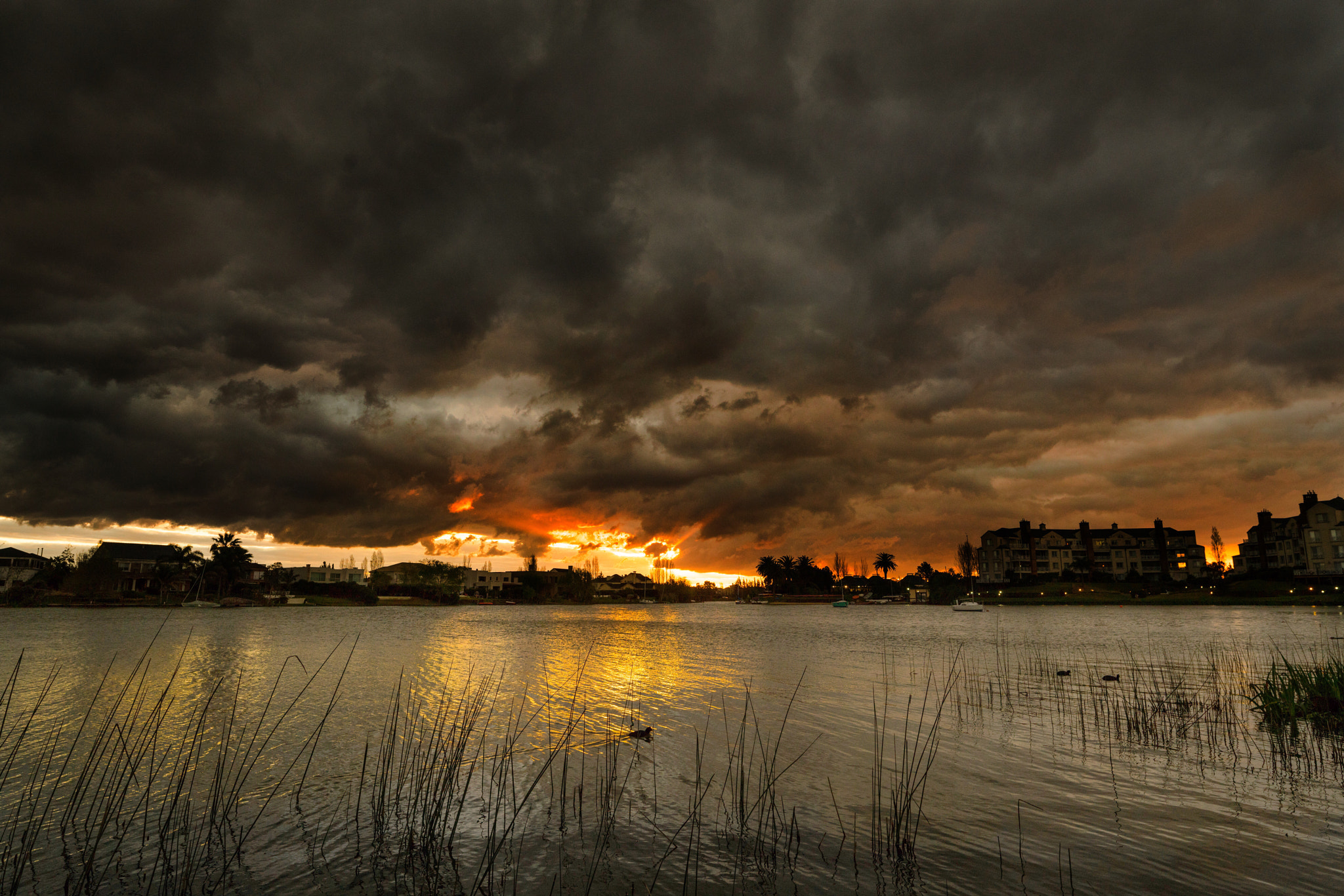 Sony a7R II + Sigma 20mm F1.4 DG HSM Art sample photo. The sky is burning... photography