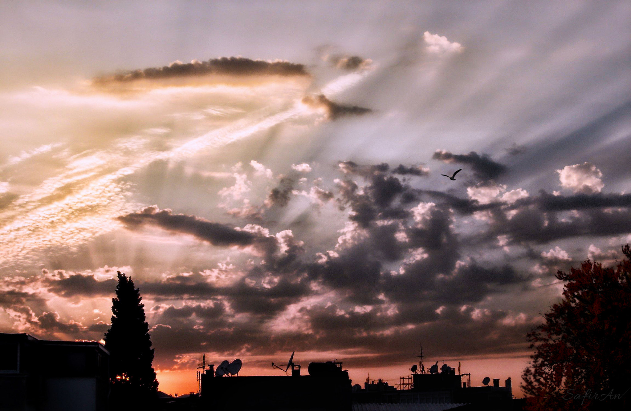 Sony DSC-P73 sample photo. Angel of the sky "peace maker" photography