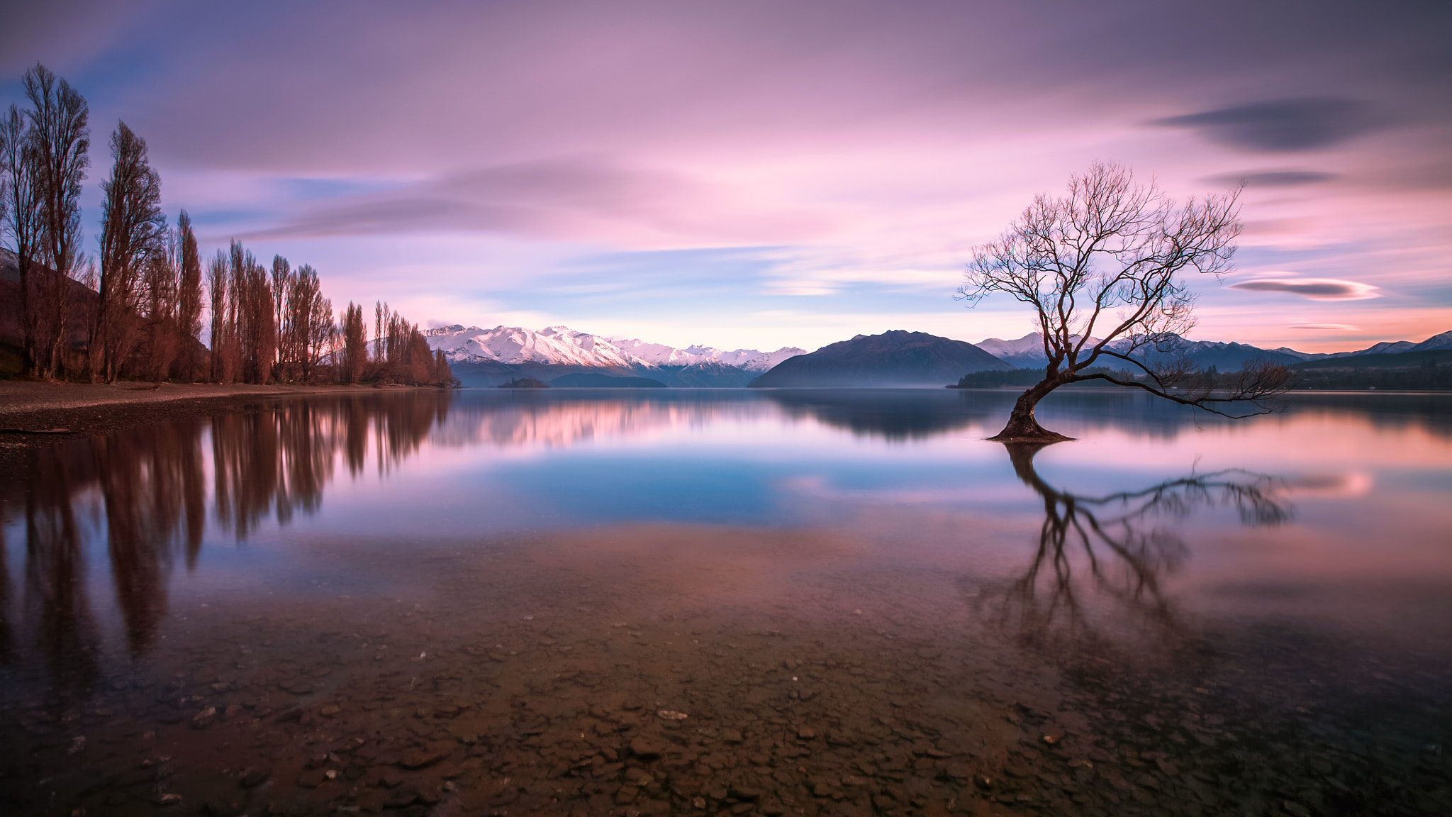 Canon EOS 5D + Canon EF 16-35mm F2.8L II USM sample photo. Wanaka tree in the morning photography