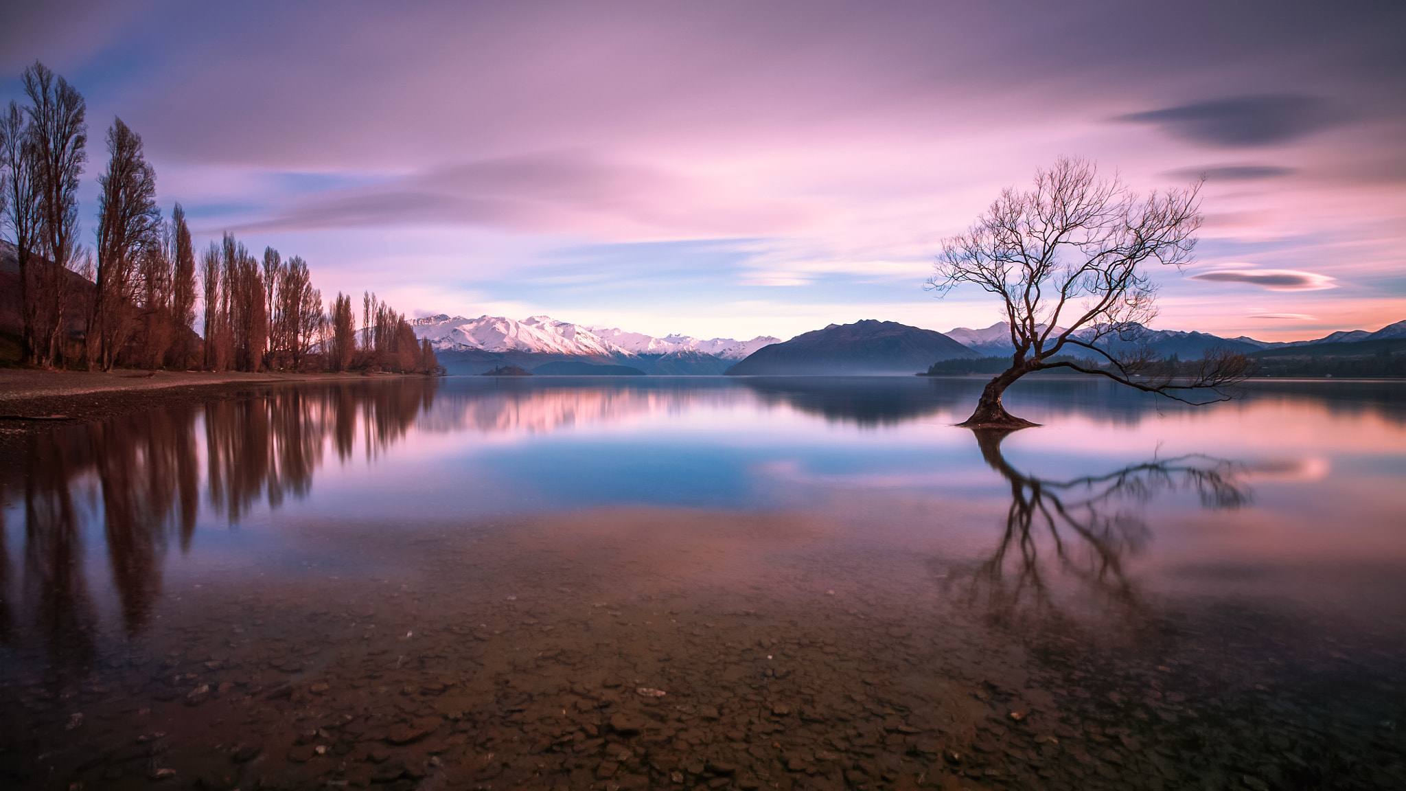 Canon EF 16-35mm F2.8L II USM sample photo. Wanaka tree in the morning photography