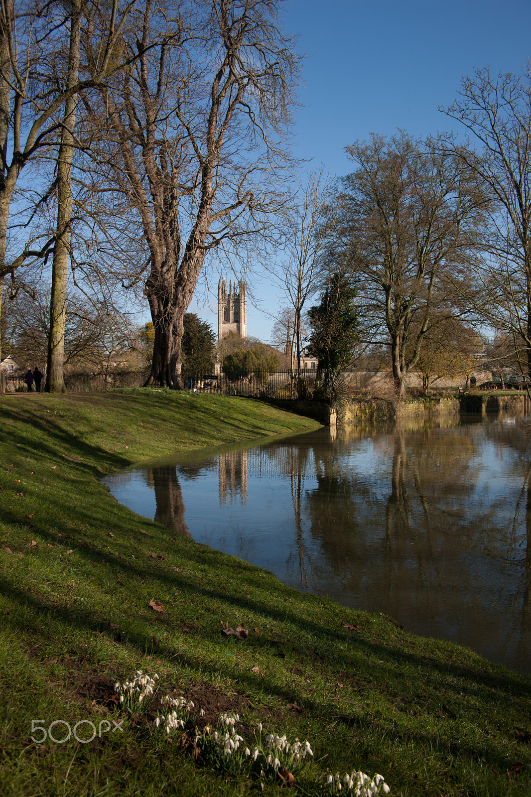 Canon EOS-1Ds Mark III + Canon EF 24-85mm F3.5-4.5 USM sample photo. Magdalen tower from christchurch oxford photography