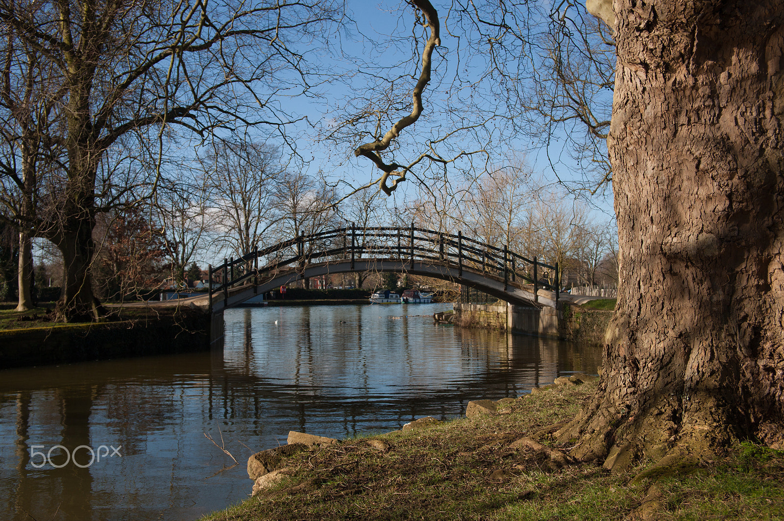 Canon EOS-1Ds Mark III + Canon EF 24-85mm F3.5-4.5 USM sample photo. Thames from christchurch oxford photography