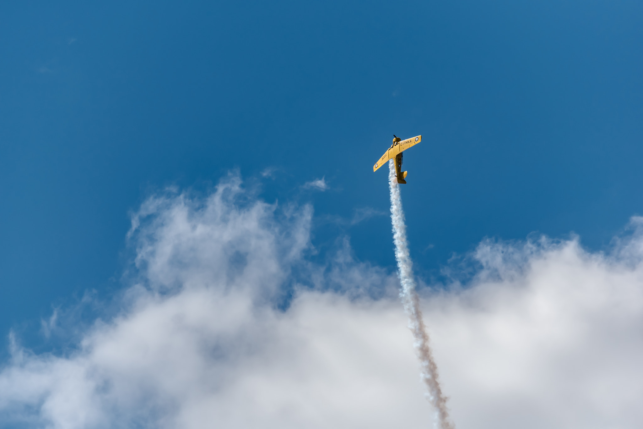 Tamron SP 70-200mm F2.8 Di VC USD sample photo. Off we go into the wild blue yonder photography