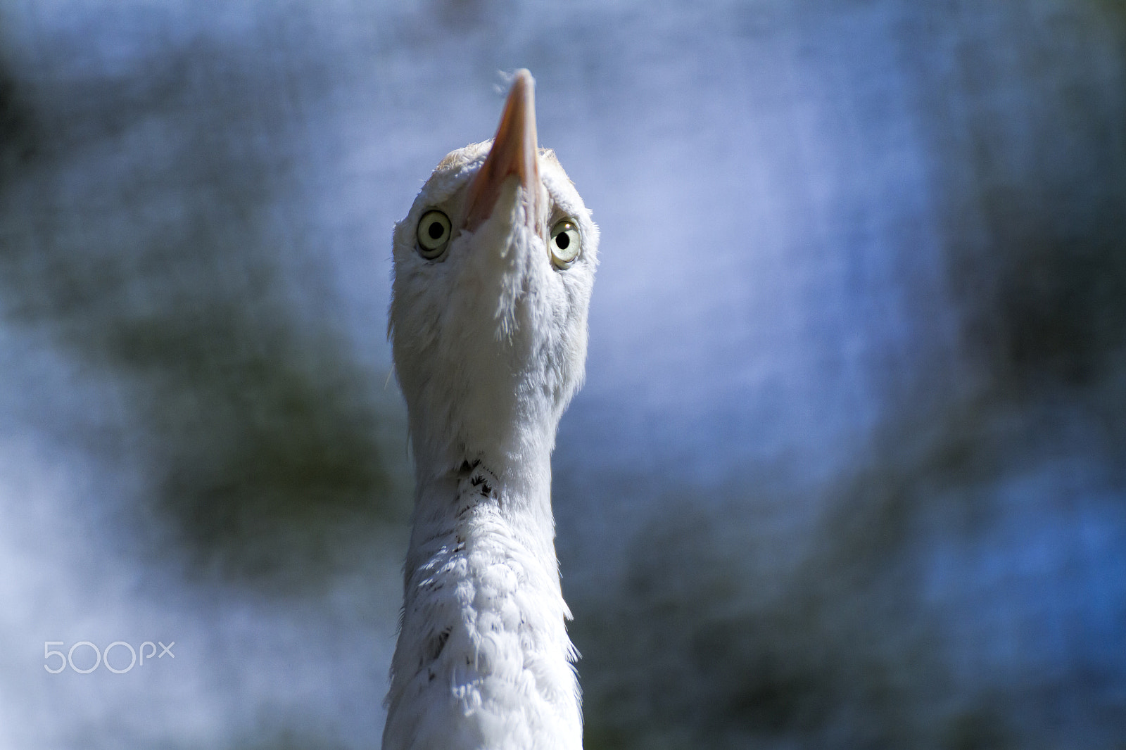 Tamron SP 35mm F1.8 Di VC USD sample photo. Img photography