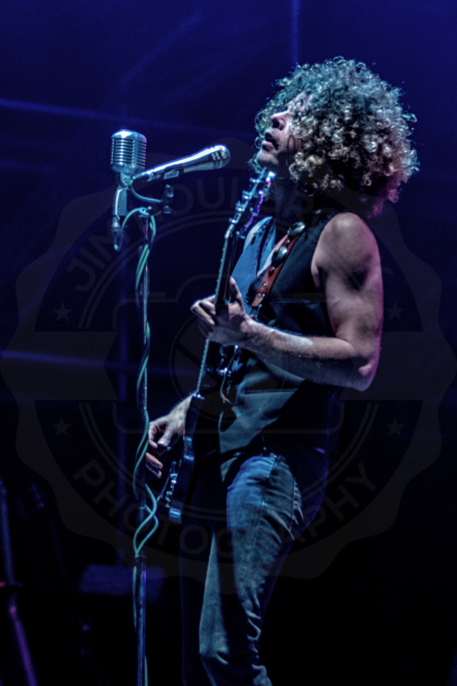 Sigma 70-200mm F2.8 EX DG OS HSM sample photo. Wolf mother at victorious festival portsmouth hampshire 28-08-2016 photography