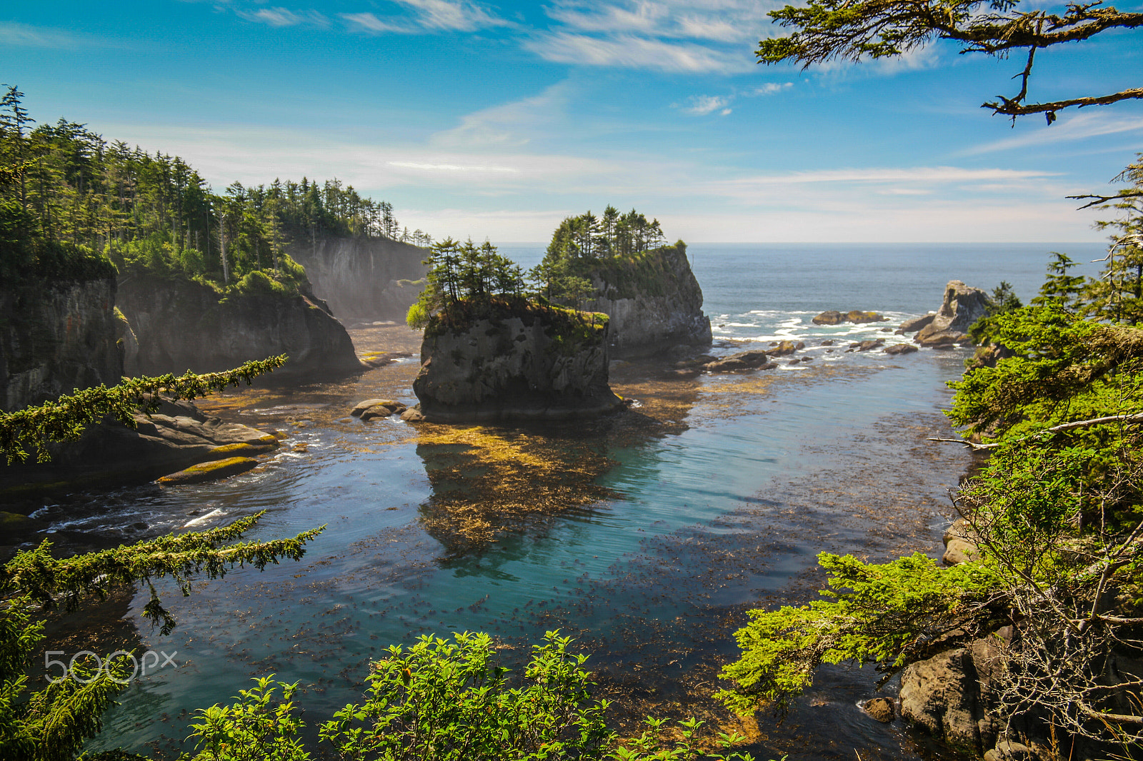 Samsung NX1 + NX 18-200mm F3.5-6.3 sample photo. Cape flattery - olympic national park wa photography