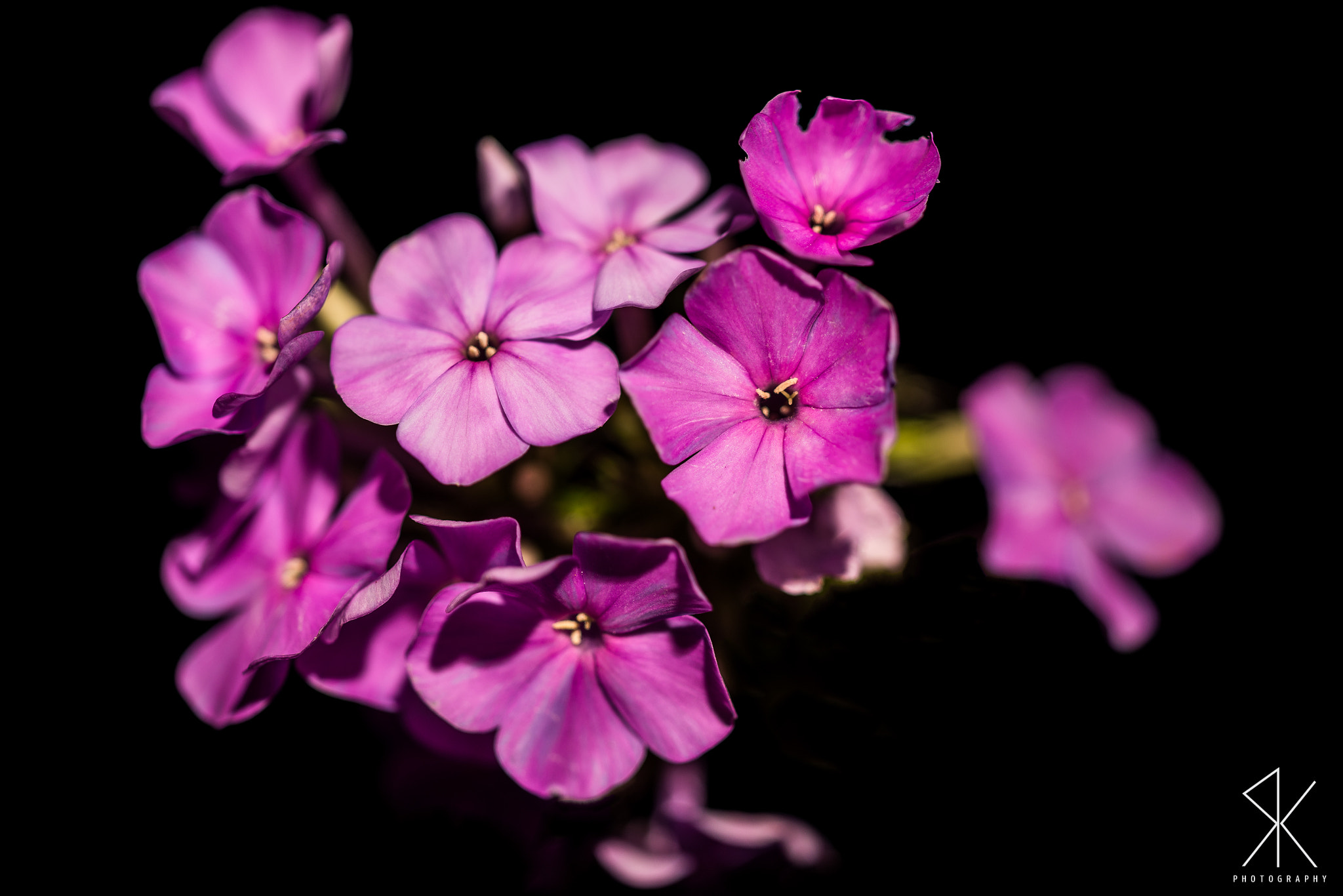 Sigma 150mm F2.8 EX DG Macro HSM sample photo