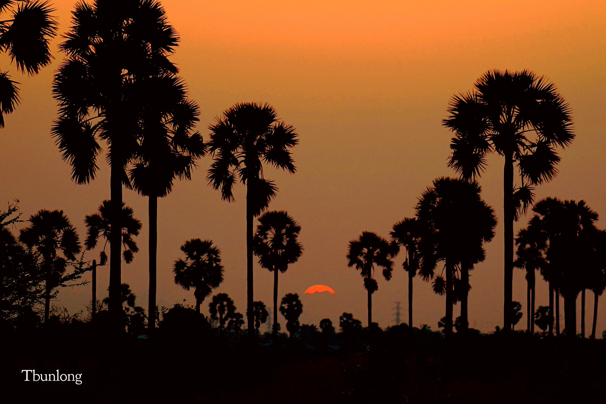 Canon EF75-300mm f/4-5.6 sample photo. The last light ! photography