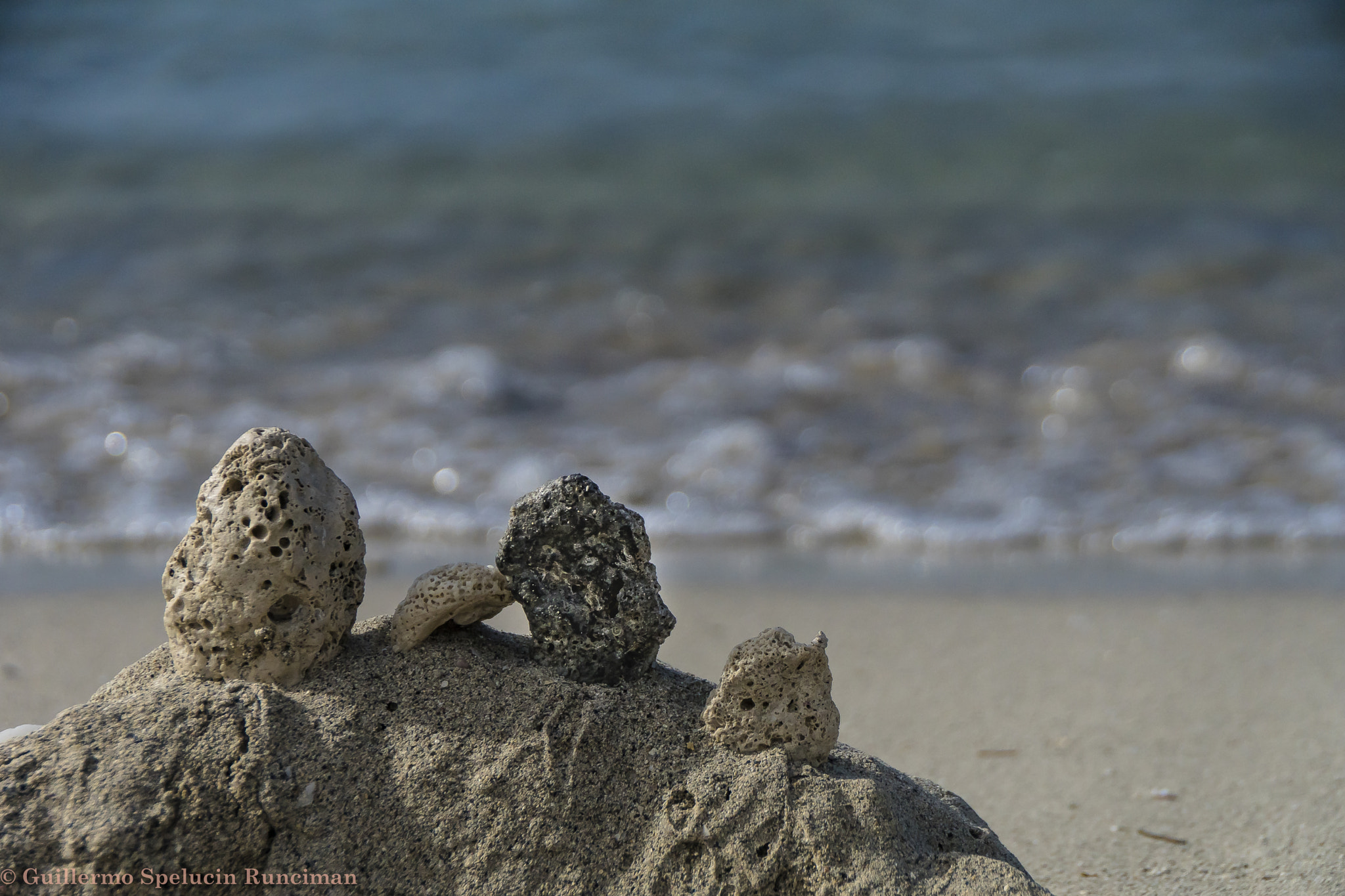 Sony DT 18-250mm F3.5-6.3 sample photo. The beach photography