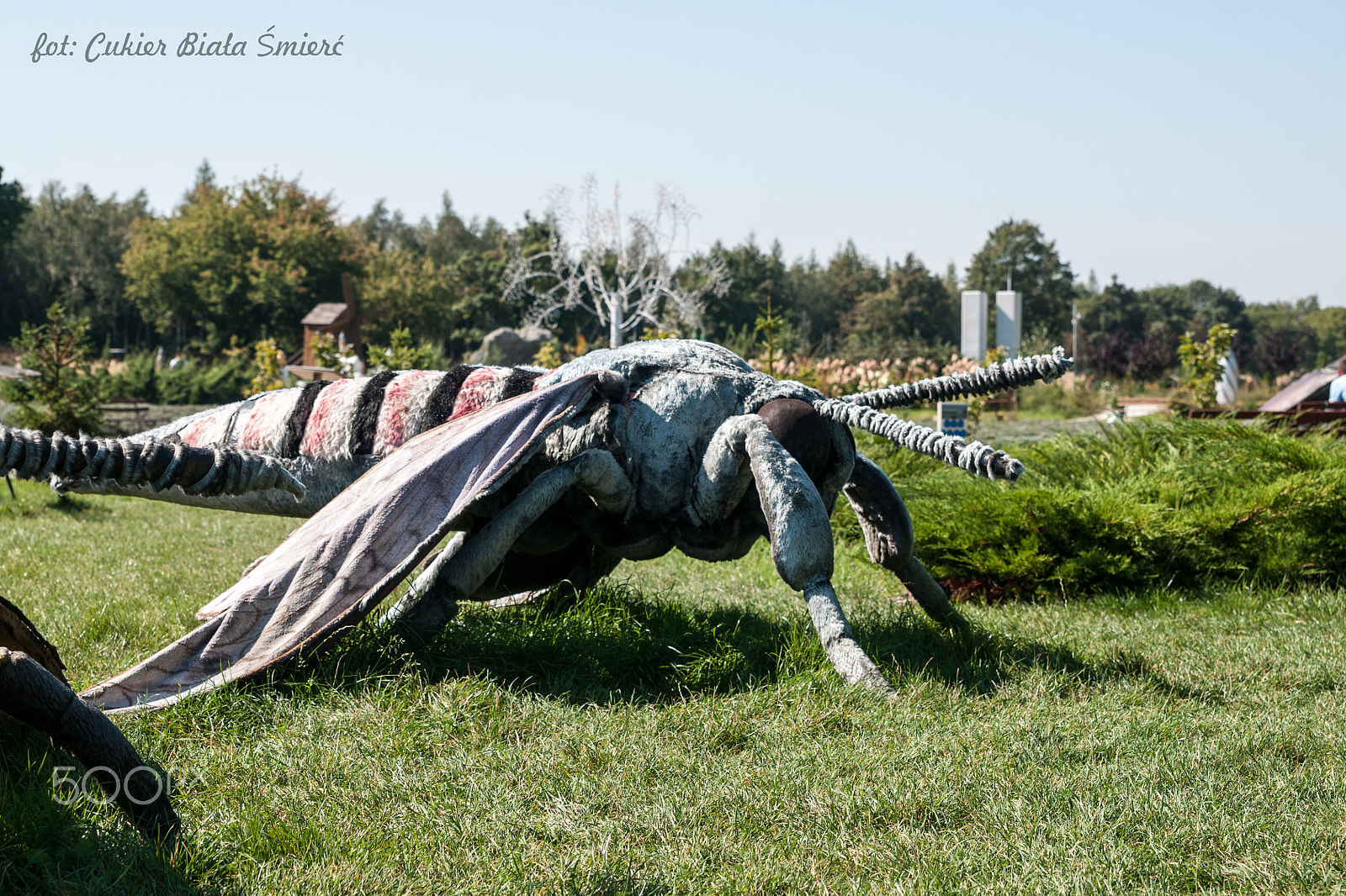 Sony Alpha DSLR-A700 + 24-70mm F2.8 sample photo. Delipark photography