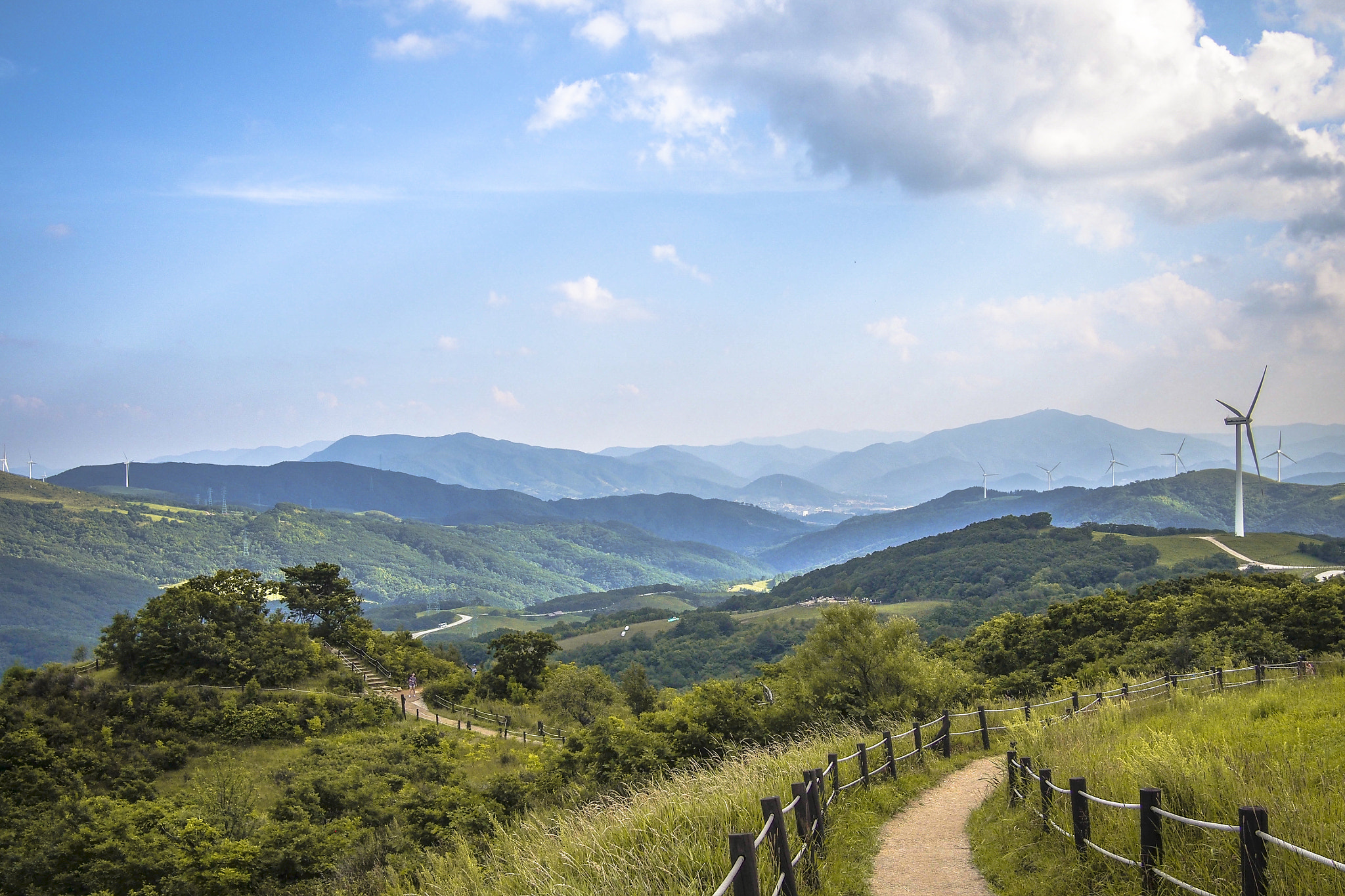 Olympus PEN E-P5 + Panasonic Lumix G 20mm F1.7 ASPH sample photo. Samyang farm photography