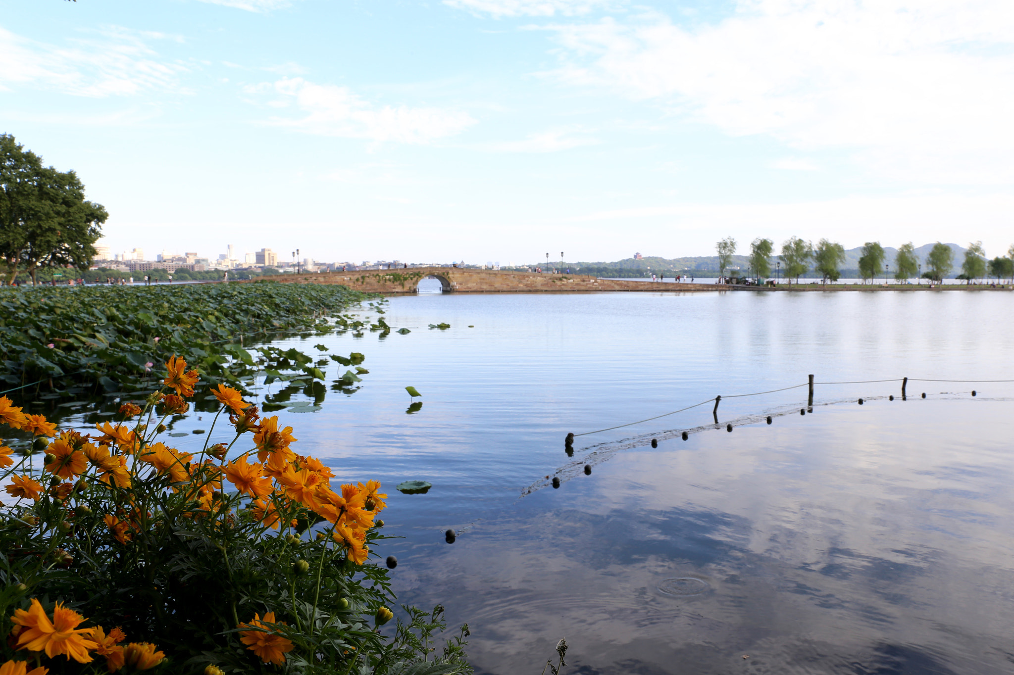 Canon EF 24-70mm F2.8L II USM sample photo. 今天，g20峰会在杭州召开。 photography