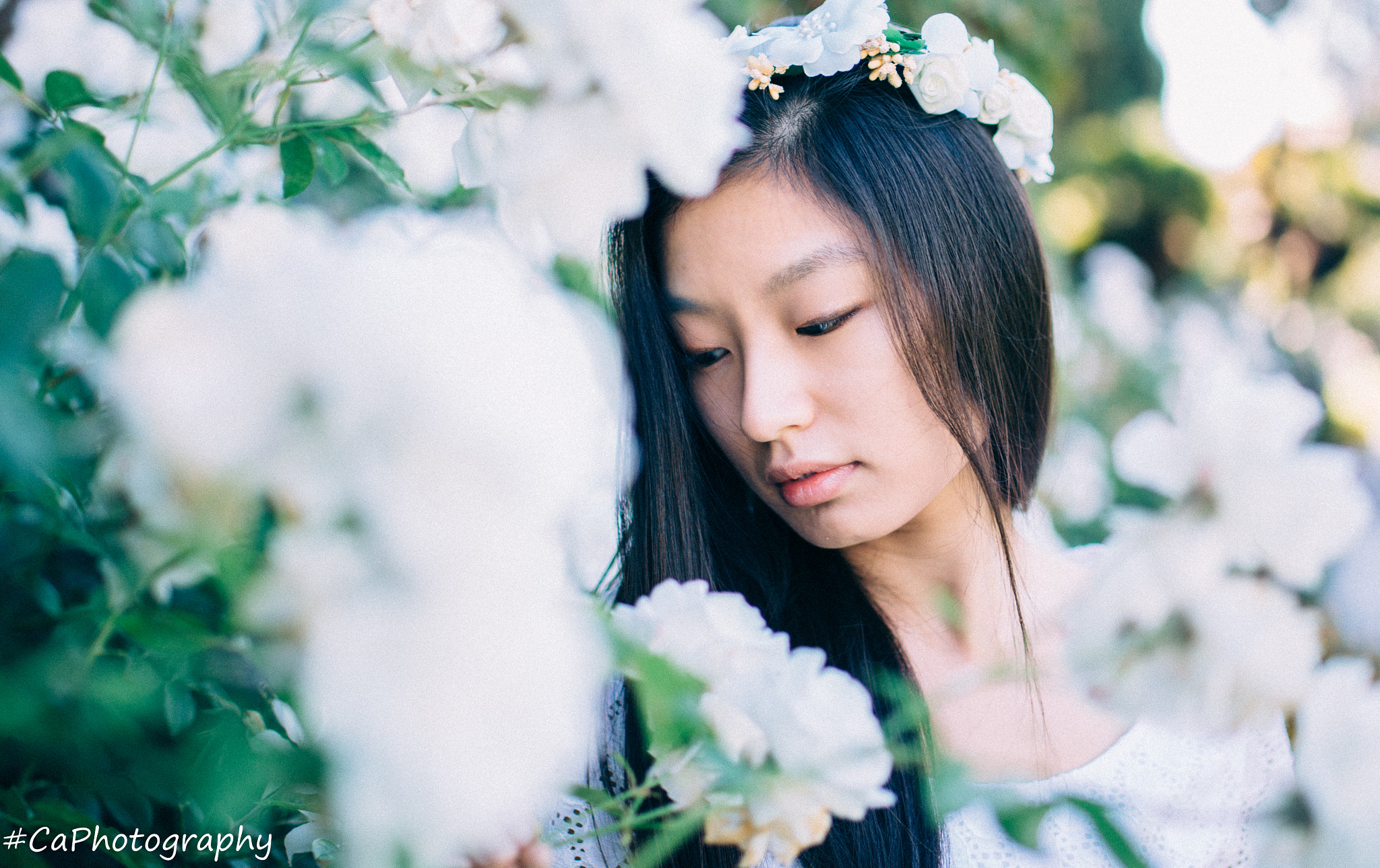 Tamron SP 45mm F1.8 Di VC USD sample photo. F.l.o.w.e.r photography