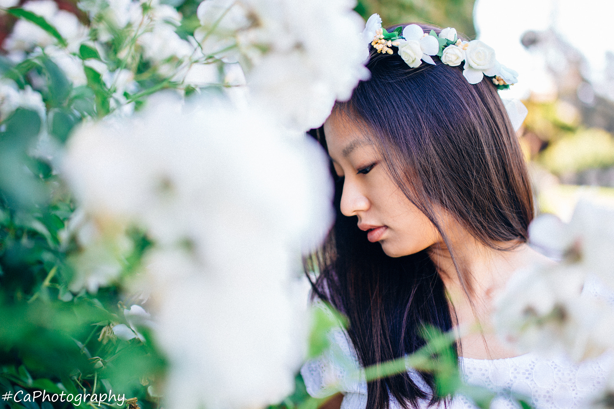 Tamron SP 45mm F1.8 Di VC USD sample photo. F.l.o.w.e.r photography