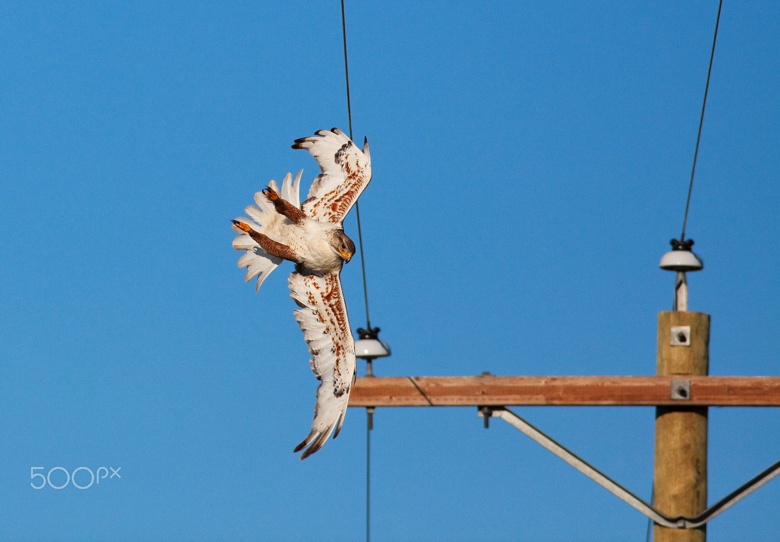 Canon EF 400mm F5.6L USM sample photo. Power line collision photography