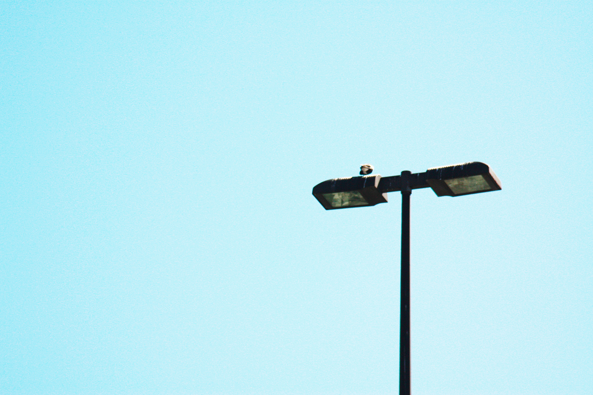Canon EF 28-200mm F3.5-5.6 USM sample photo. Street light photography