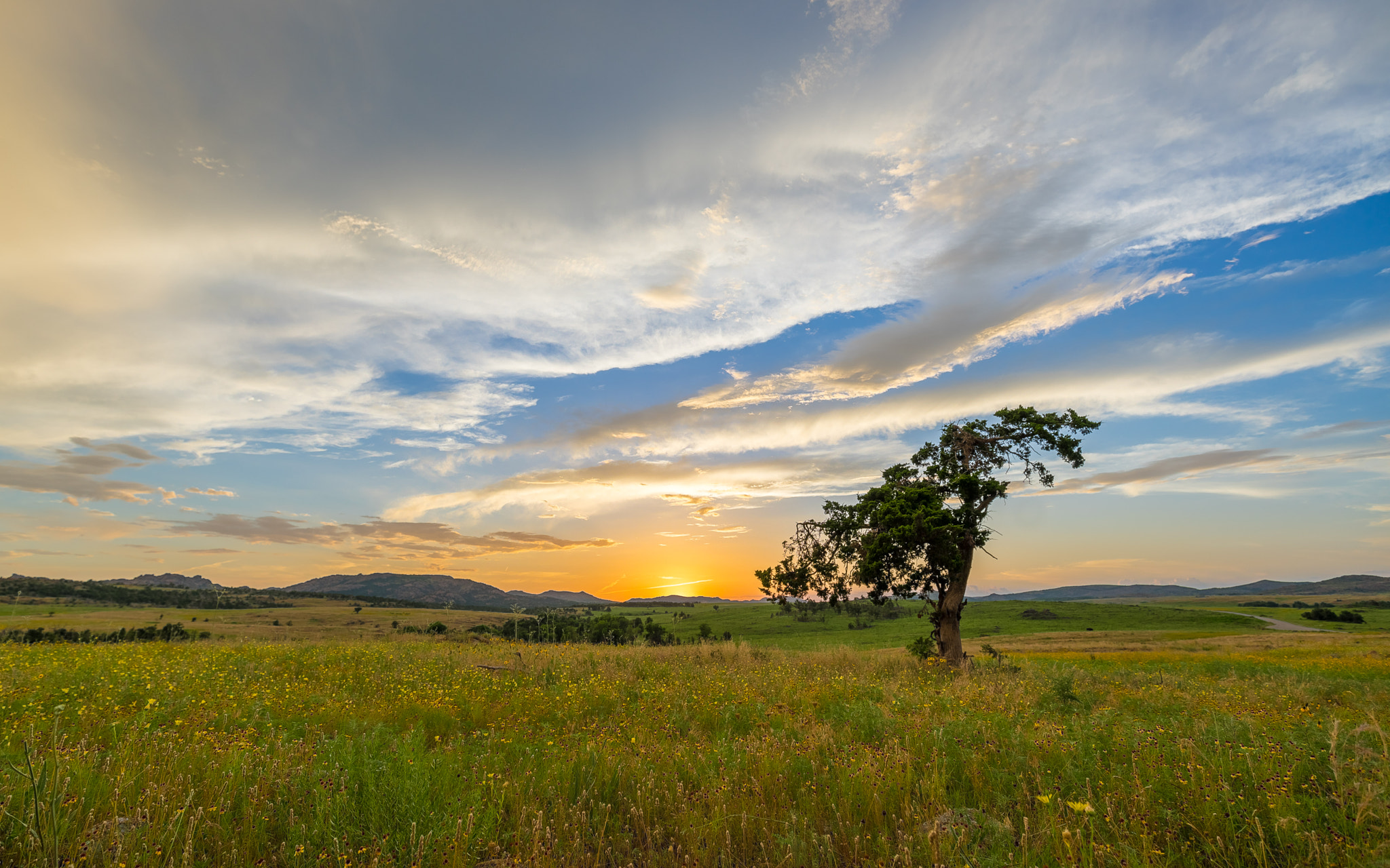 Sony a7R + Canon EF 16-35mm F4L IS USM sample photo. Flourish 2.0 photography