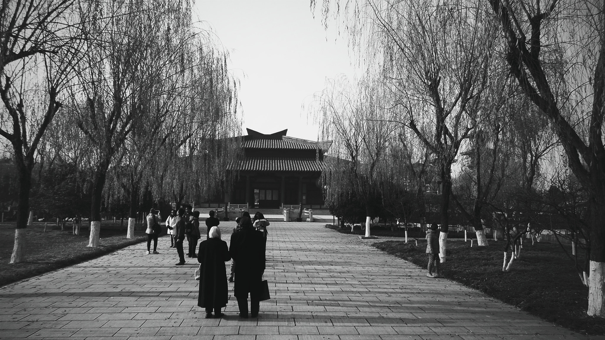 Samsung DV150F/DV151F/DV155F sample photo. Bw photography