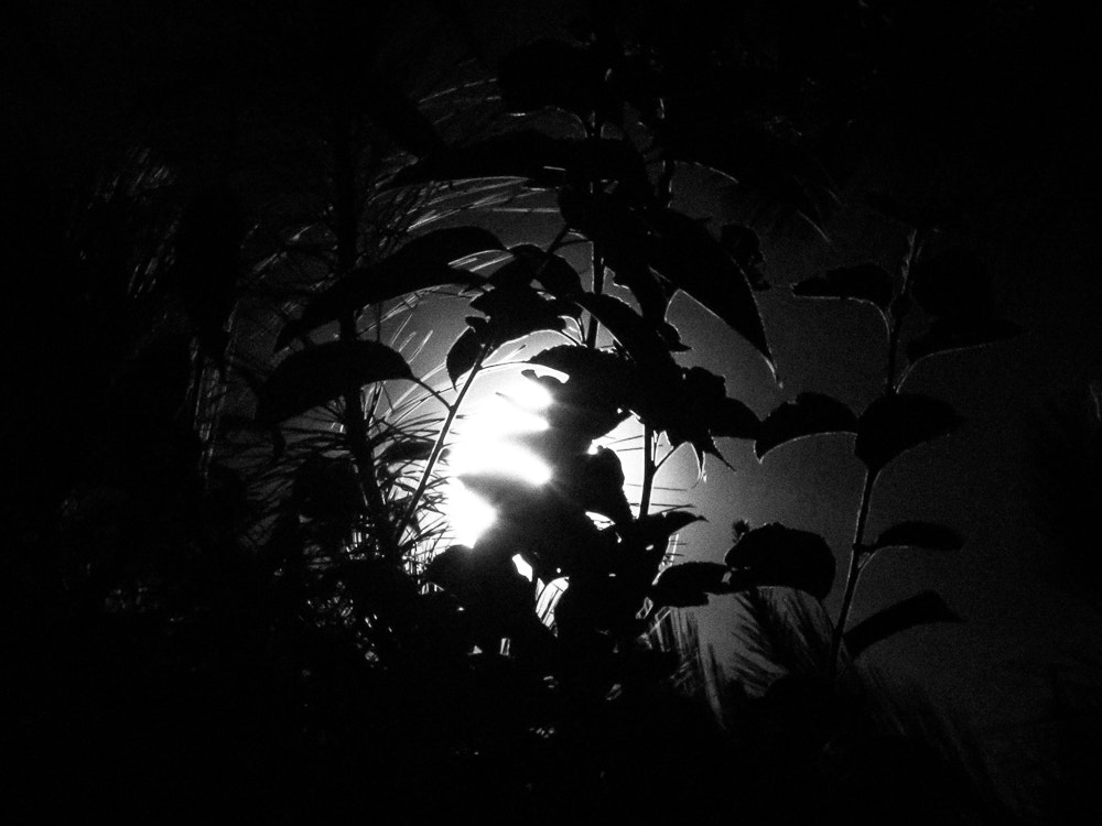 Panasonic Lumix DMC-G7 sample photo. Moonlight photography