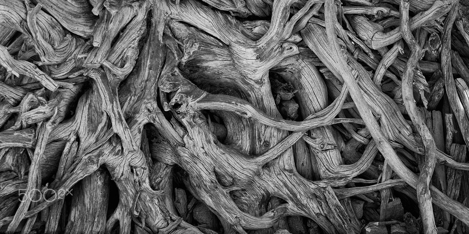 Sigma 70-200mm F2.8 EX DG OS HSM sample photo. Wood abstract photography