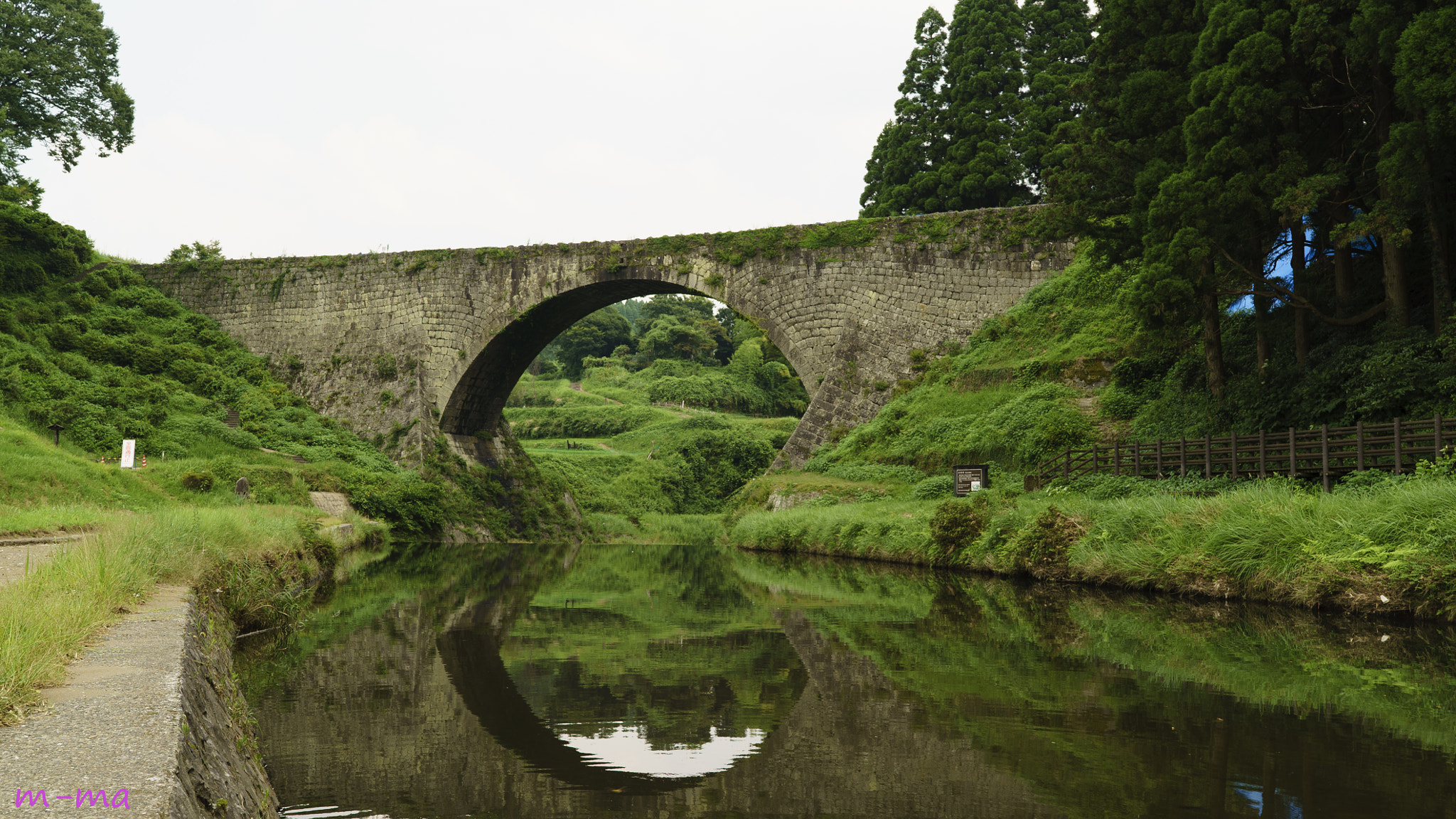 Sony a7S + Sony Distagon T* FE 35mm F1.4 ZA sample photo. Authority of moisture bridge photography
