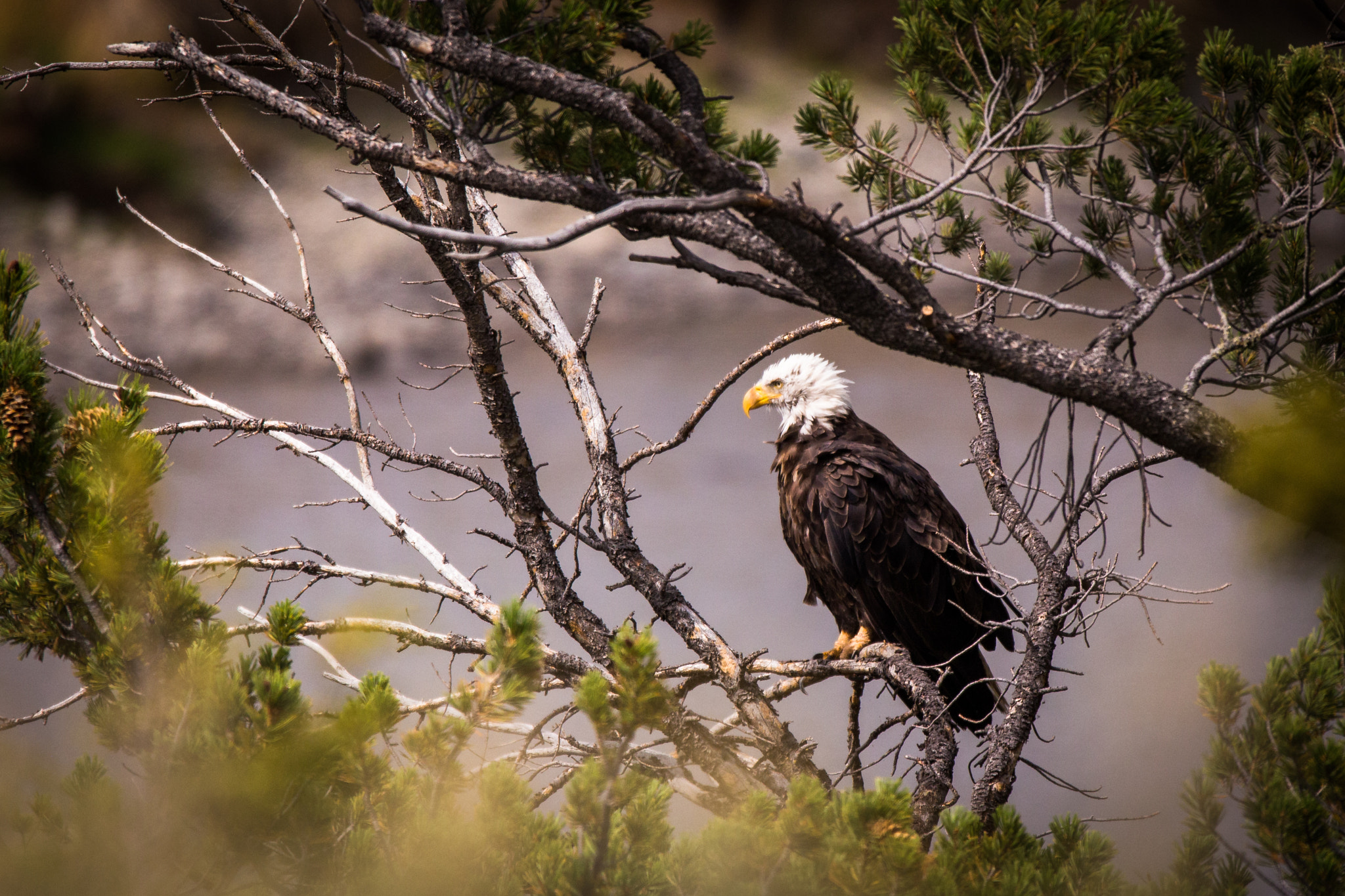 150-600mm F5-6.3 DG OS HSM | Sports 014 sample photo. Out fishing photography