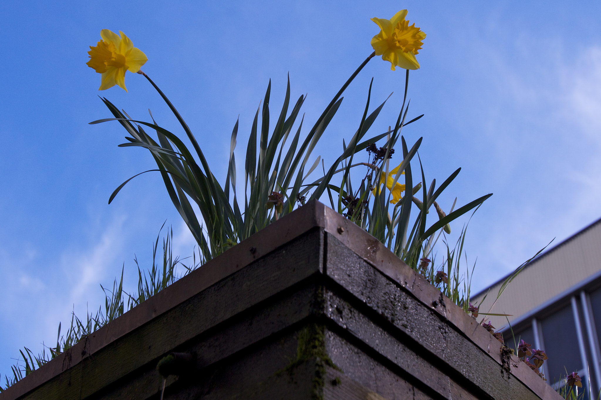 Canon EOS 60D + Canon EF 16-35mm F2.8L USM sample photo. Life on a rooftop in portand photography