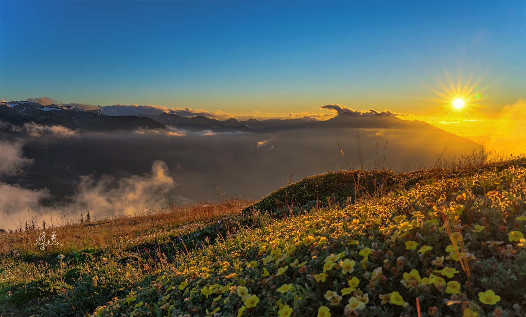 Sony FE 24-70mm F2.8 GM sample photo. Sunset, deer park, olympic national park photography