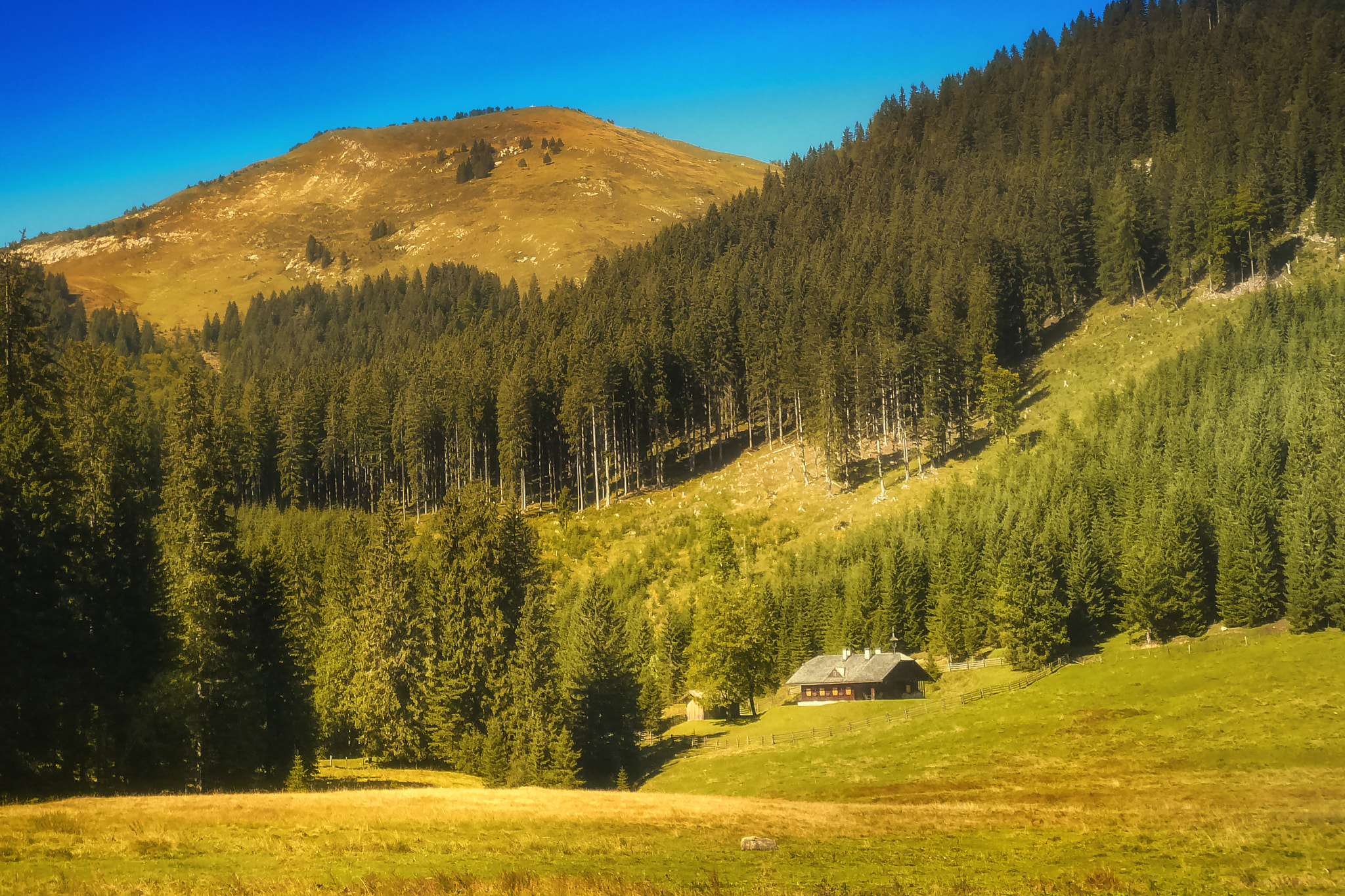 Panasonic DMC-FX07 sample photo. Cabin in the wood (postalm abtenau) photography