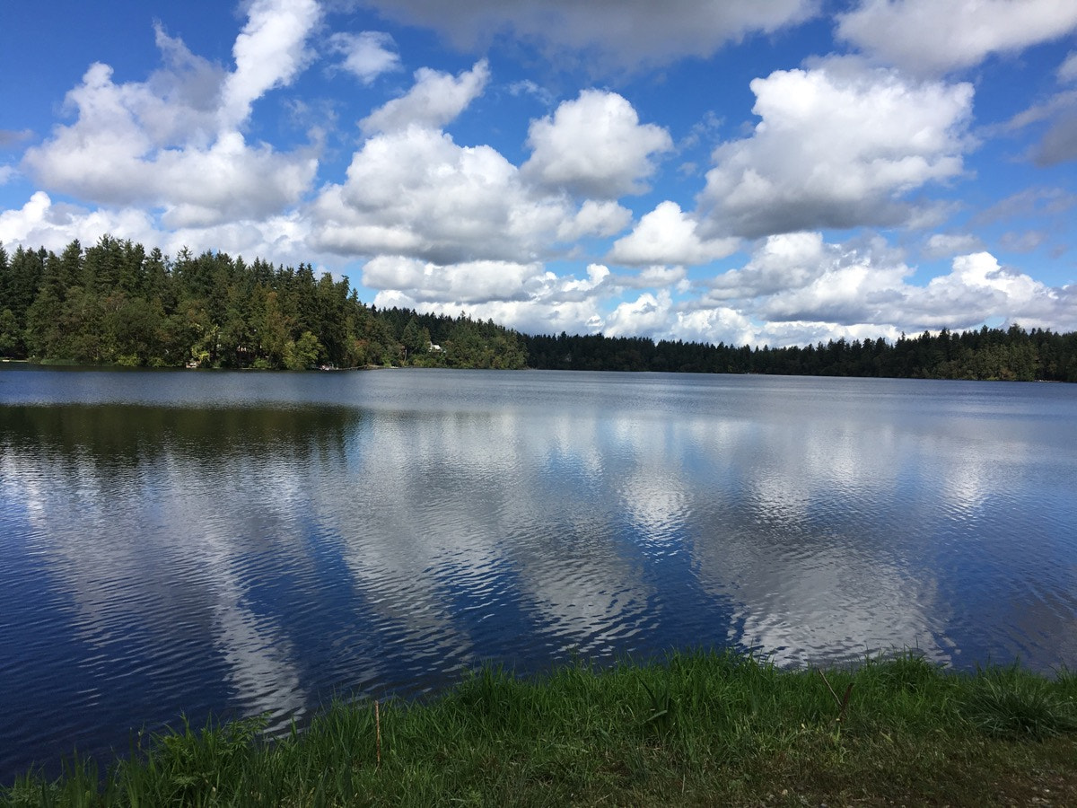 Apple iPhone8,1 sample photo. Clouds reflecting over clearlake washington photography