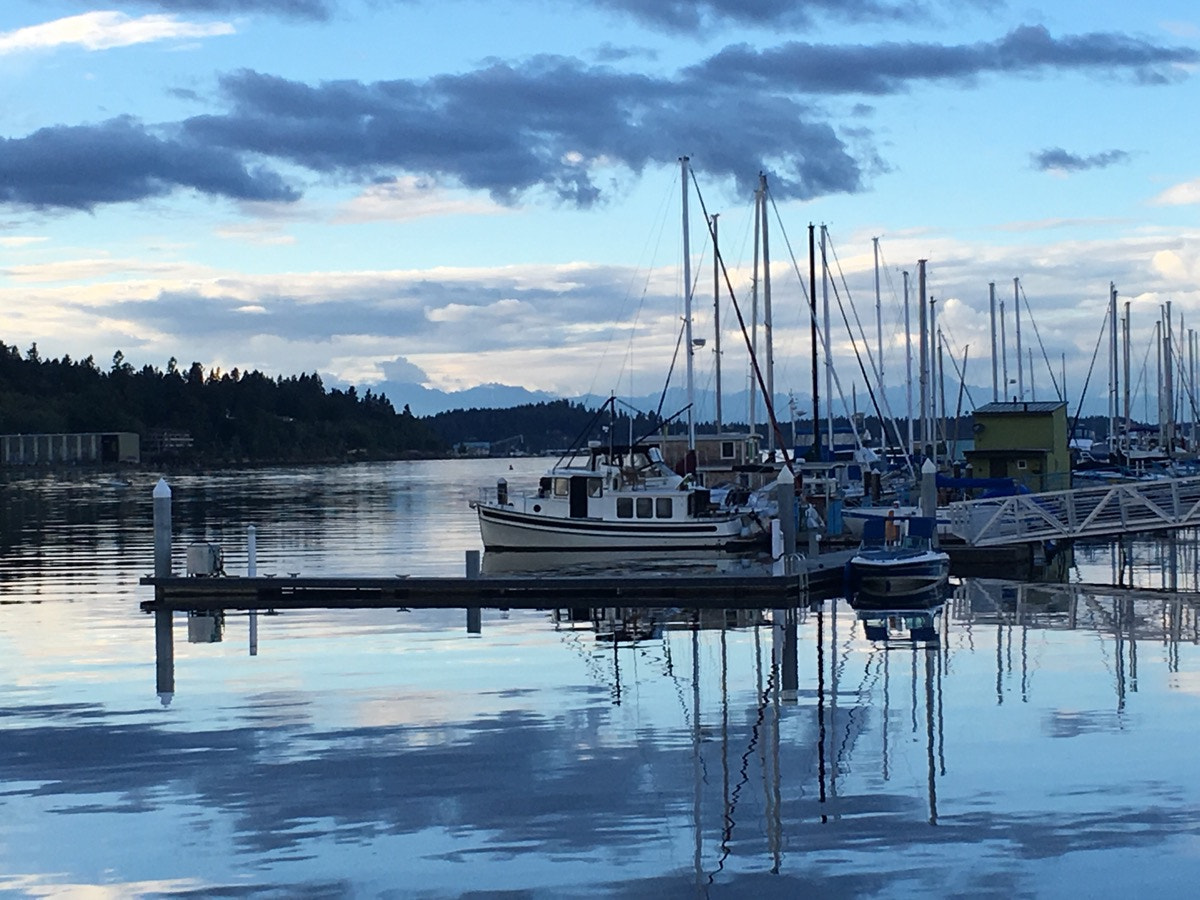 Apple iPhone8,1 sample photo. Enjoying time in the water at the olympia tugboat festival photography