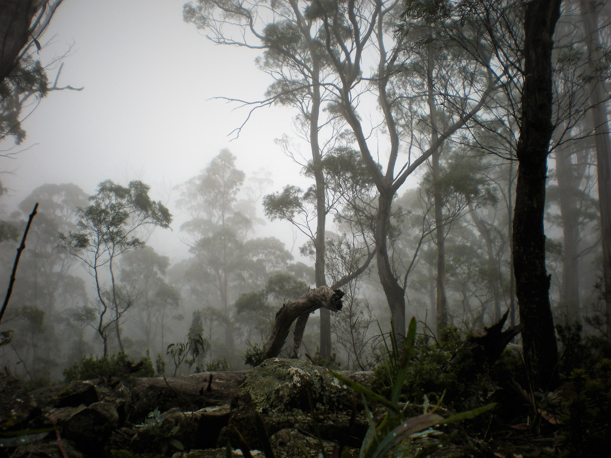 Nikon Coolpix S210 sample photo. Tasmania photography