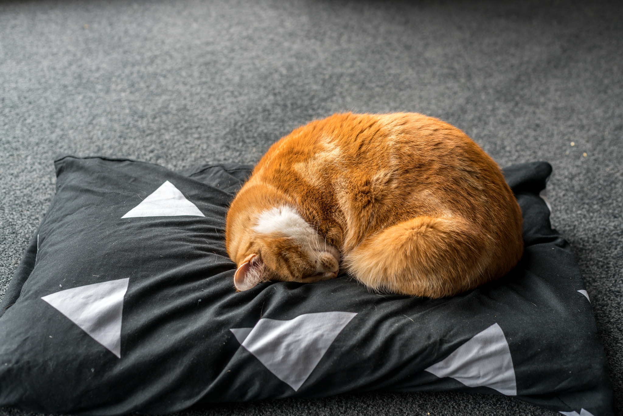 Sony a7R II + Canon EF 50mm F1.8 II sample photo. Using the pillow wrong photography