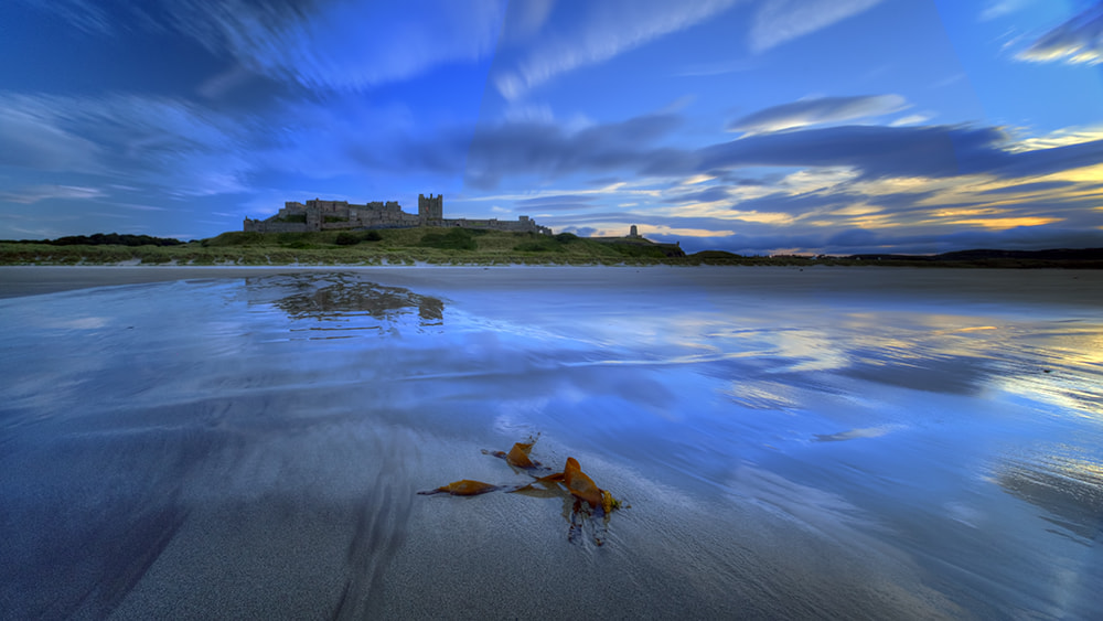 Sigma 10-20mm F3.5 EX DC HSM sample photo. Kelp and castle photography