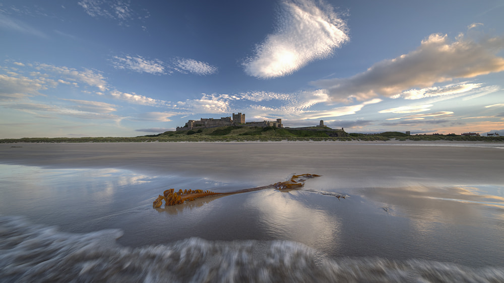 Sigma 10-20mm F3.5 EX DC HSM sample photo. Kelp and castle ii photography