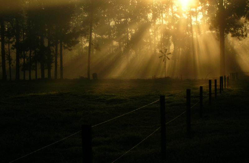 Nikon E5100 sample photo. Windmill at dawn photography