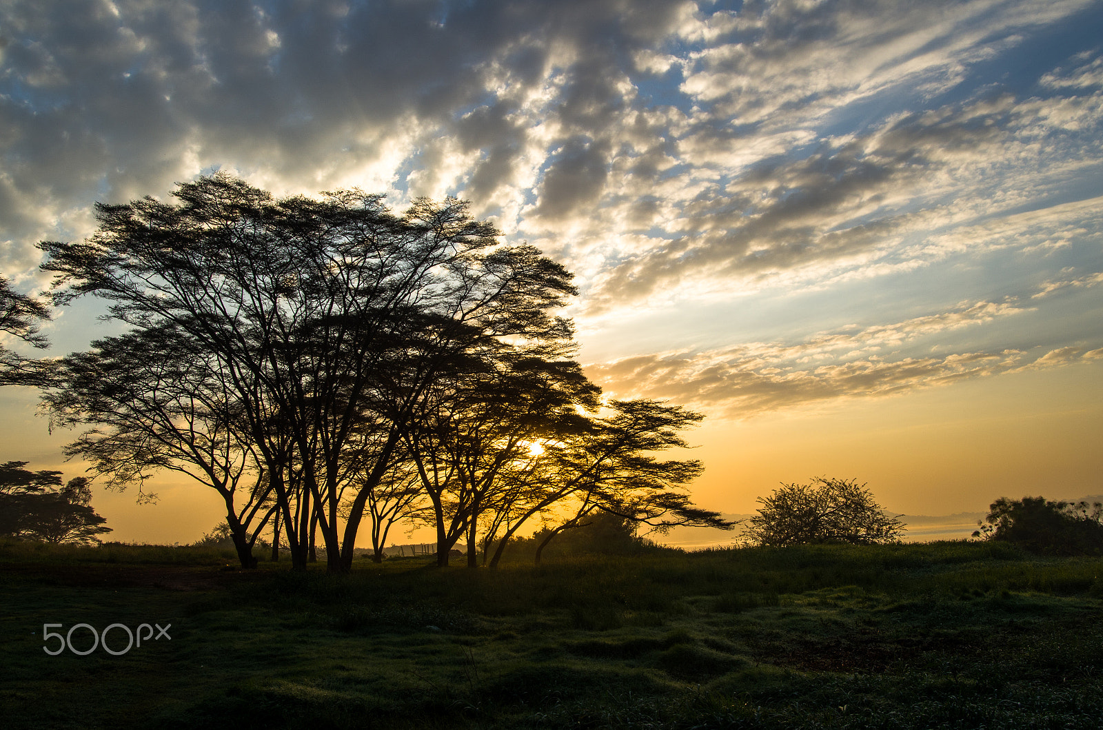 Pentax K-01 sample photo. Silhouette photography