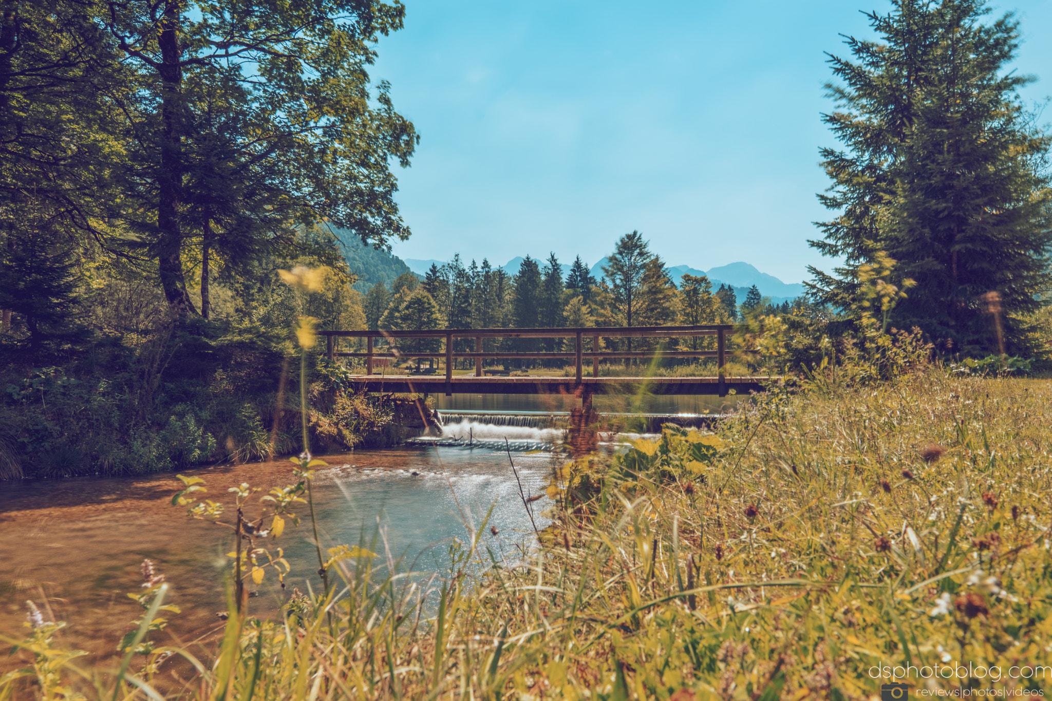 Sigma 24mm F1.4 DG HSM Art sample photo. Summer  day photography