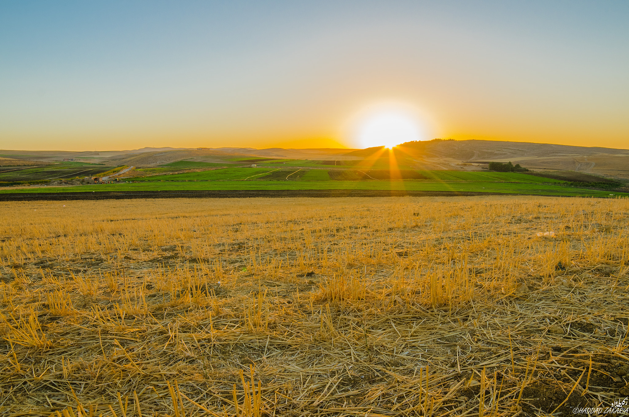 Samyang 14mm F2.8 ED AS IF UMC sample photo. Summer morning photography
