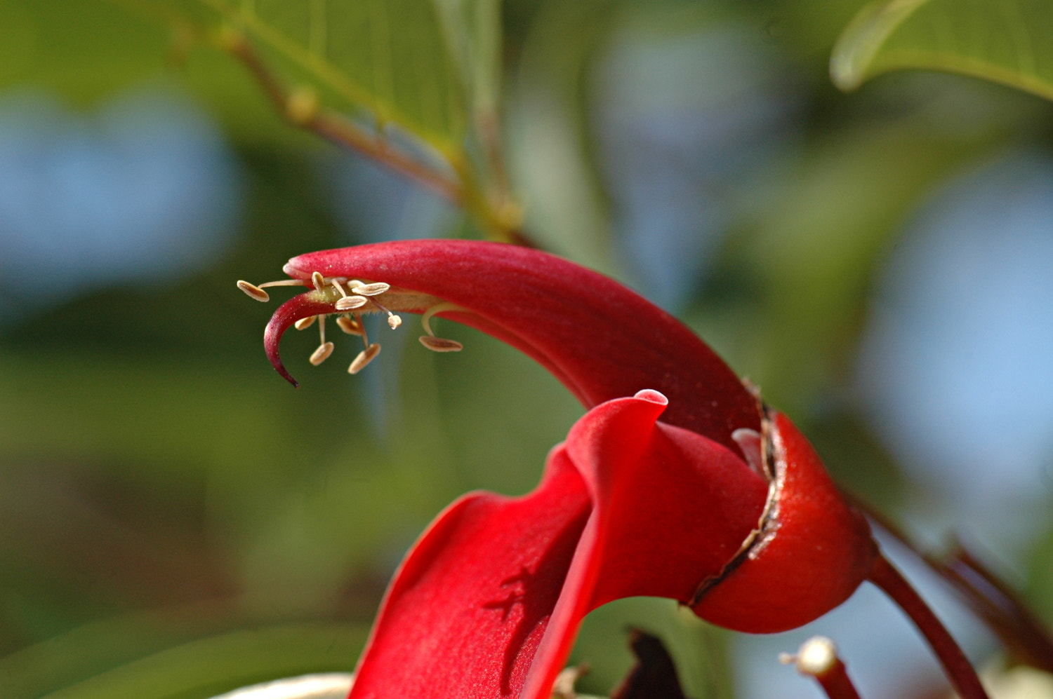 Nikon D70s + Sigma Macro 90mm F2.8 sample photo. A photography